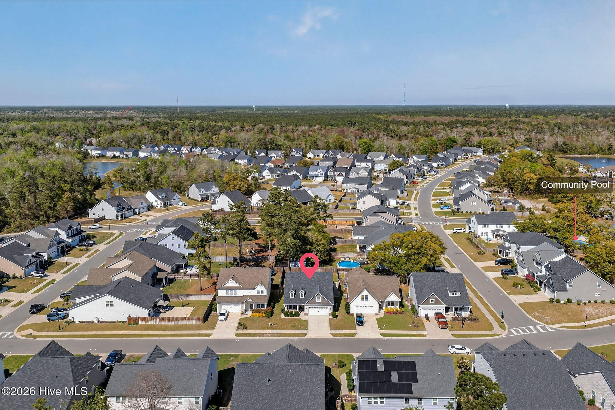 100564802 | Photo 51