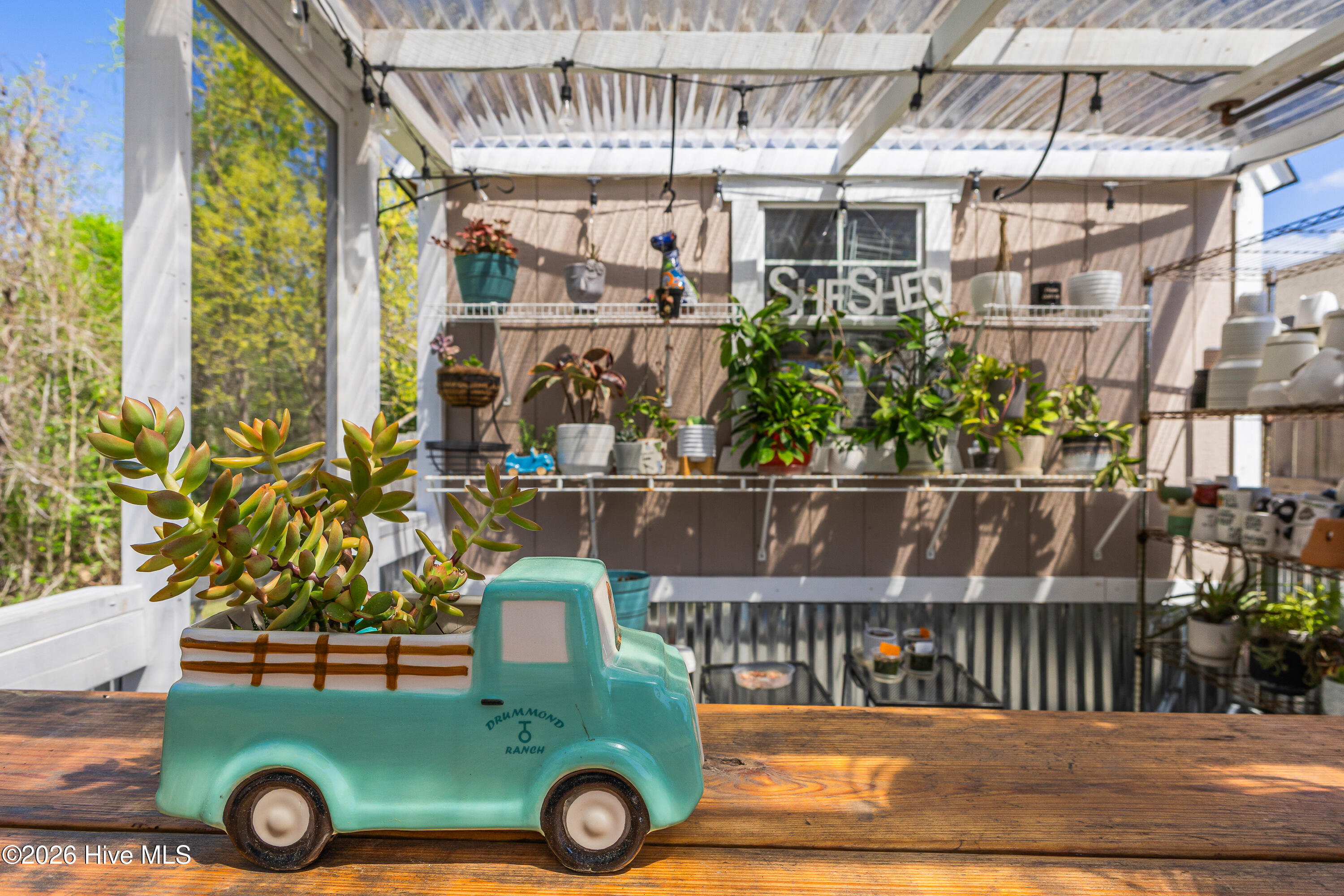 100565861 | Photo 53