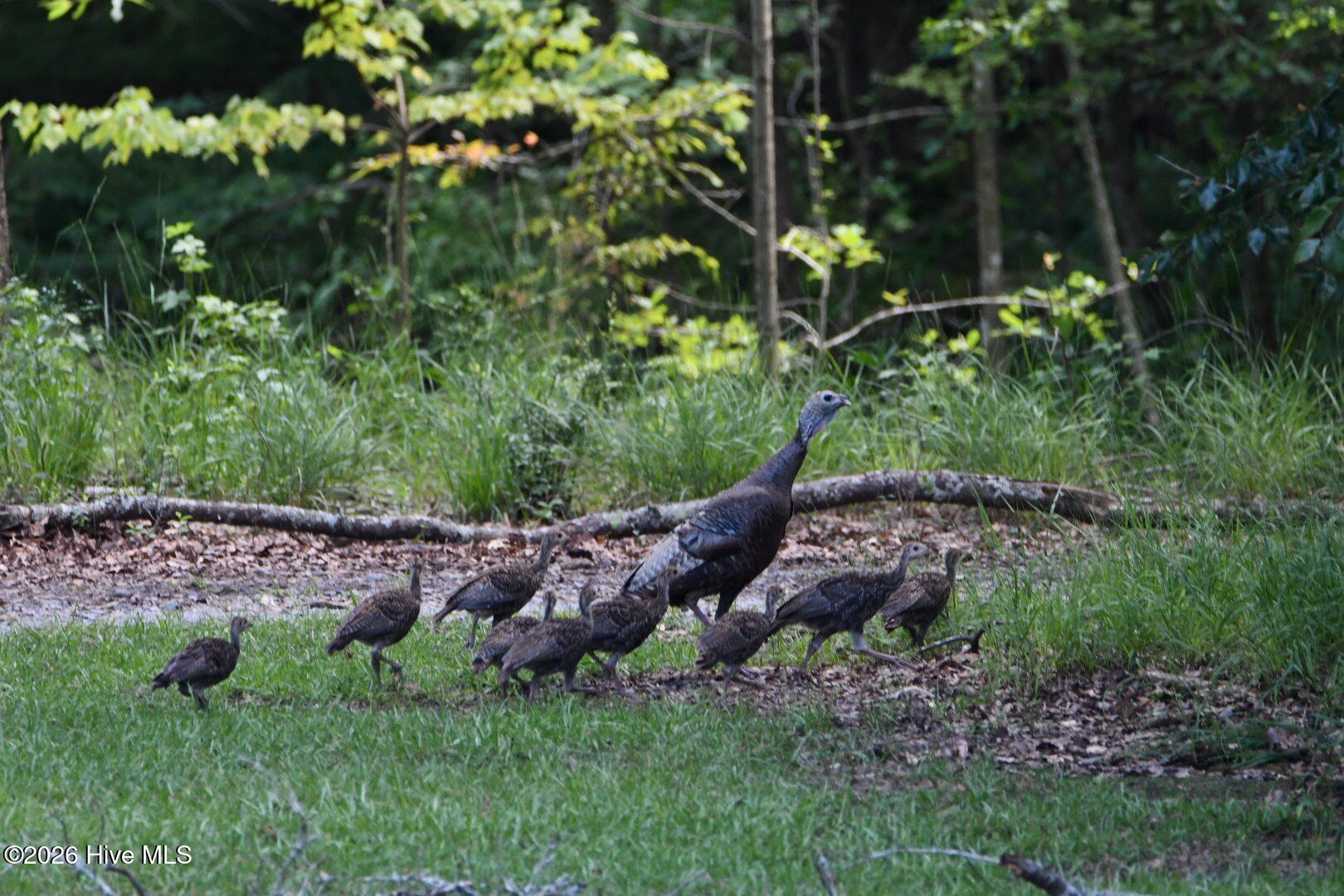 108 Farmington Road, Grimesland, NC, 27837