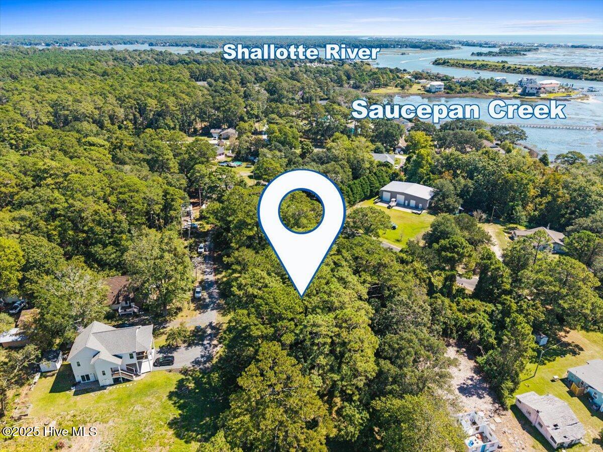 100538568 | Photo 15