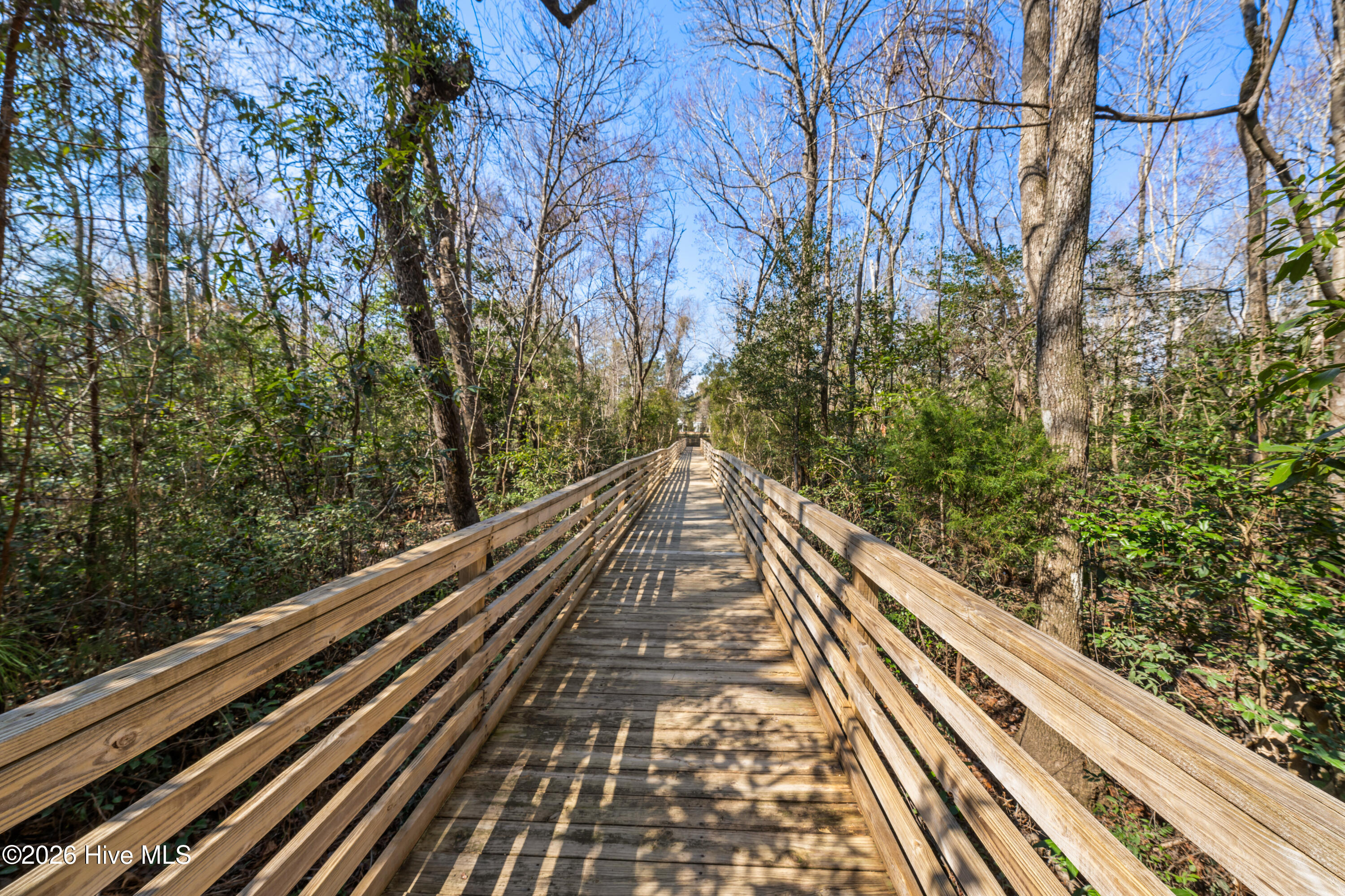 100561670 | Photo 31