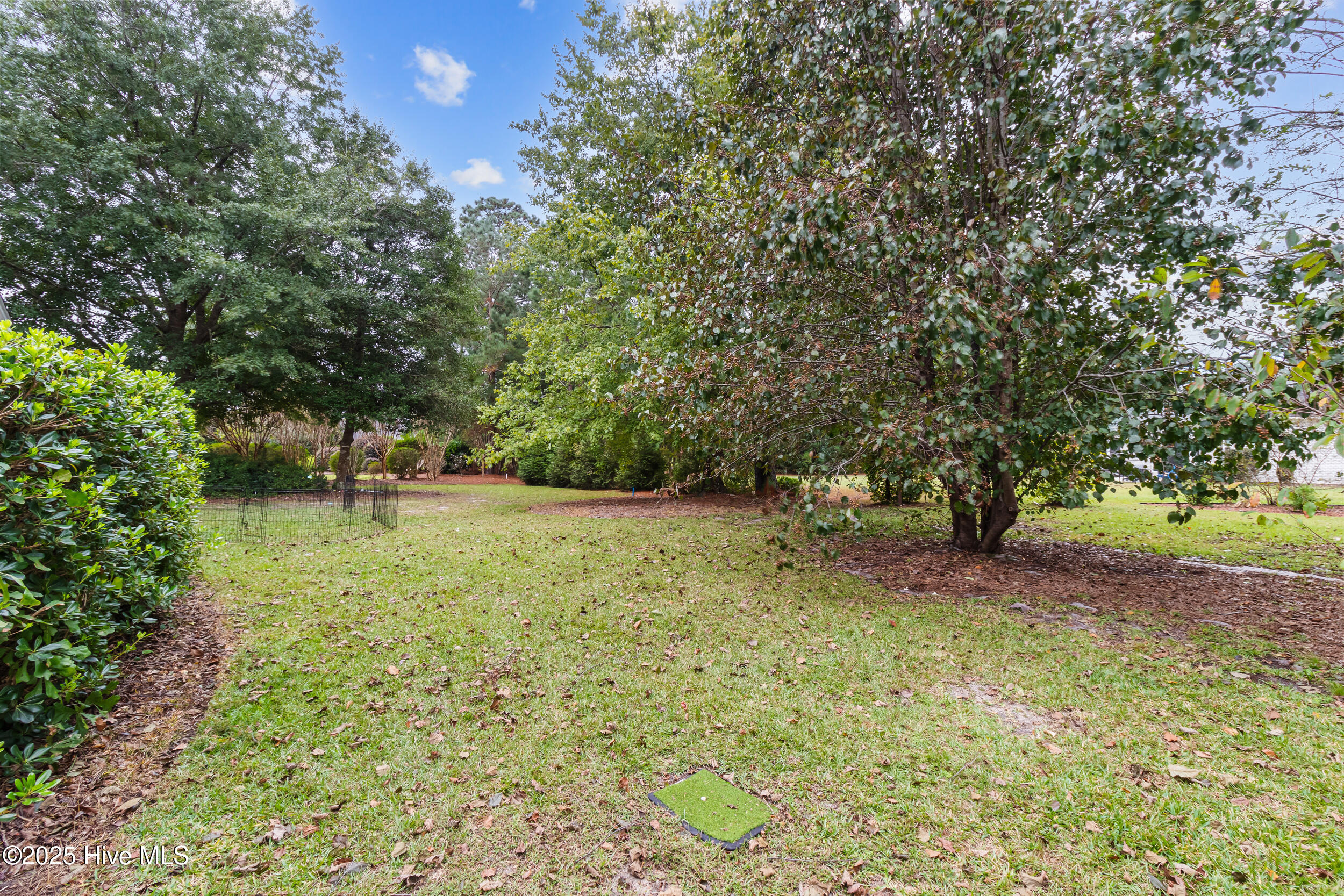 100536659 | Photo 45