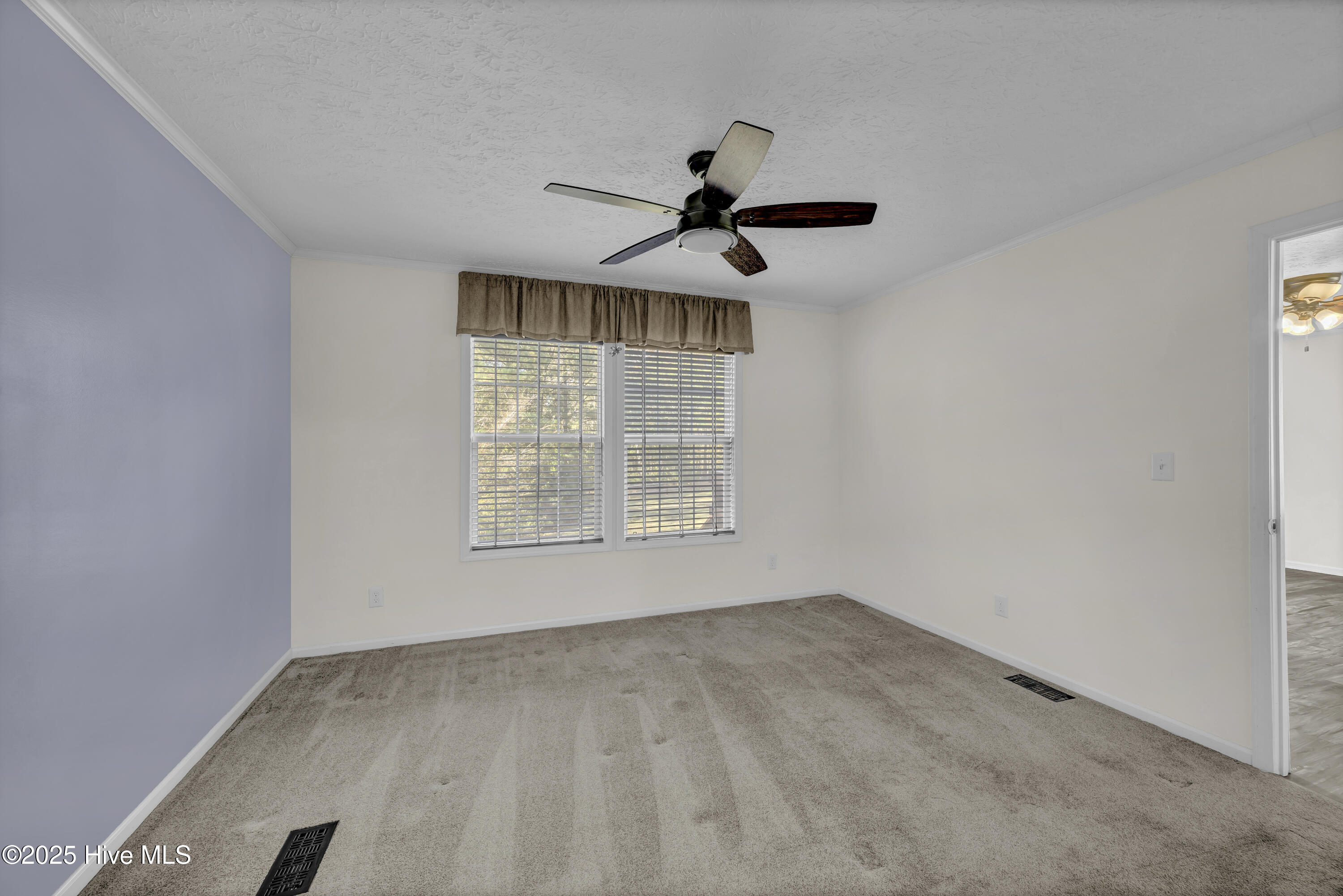 100540891 | Photo 13