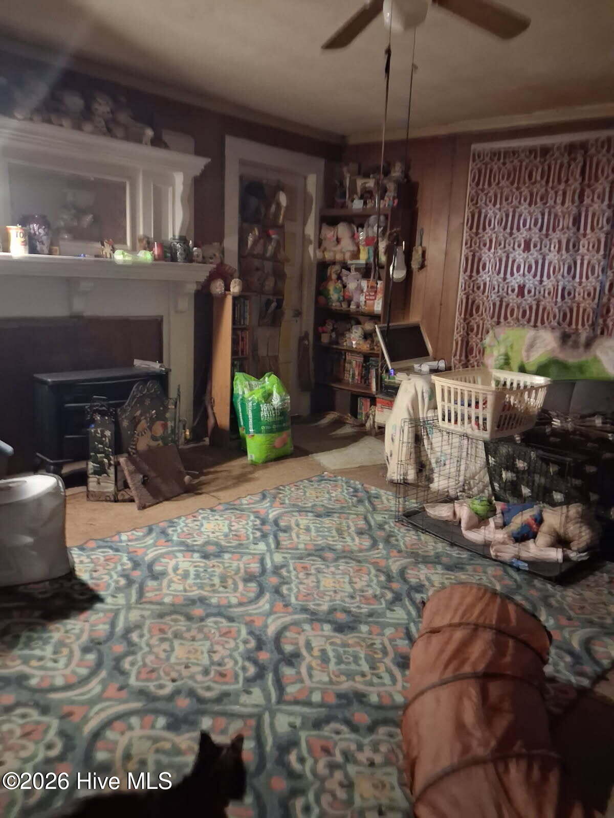 Photo 3 of Single family home for sale at 202 E Passaic St, Peachland, NC 28133 | MLS# 100613141 | Listing updated on 2026-10-29
