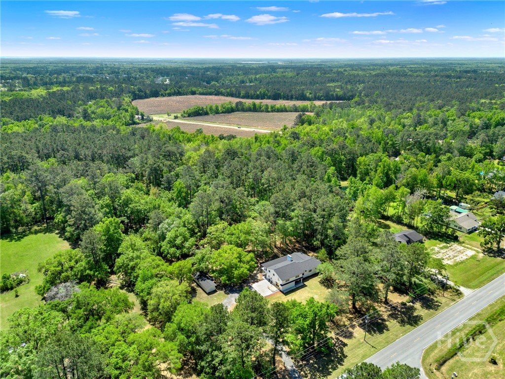 305 Kolic Helmey Rd, Guyton, GA 31312 Listing Photo  52