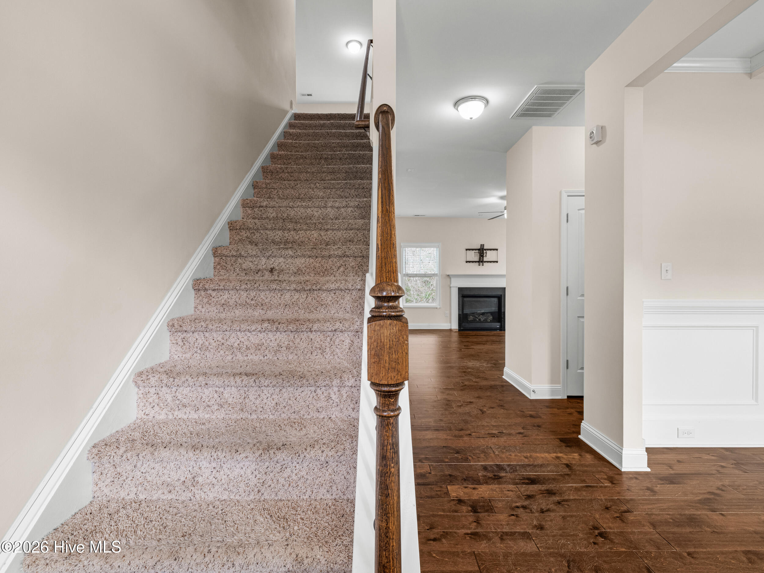 100548772 | Photo 26