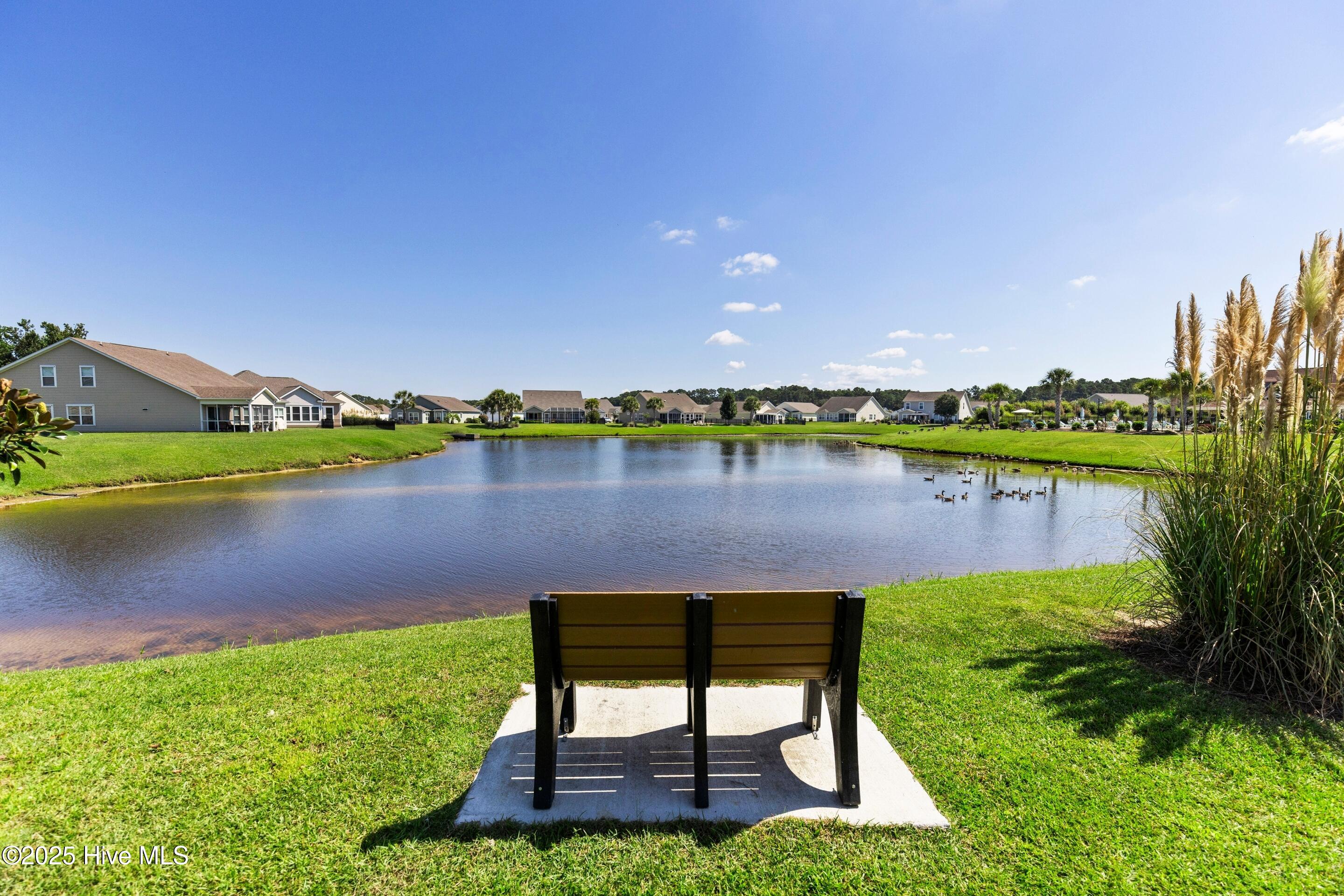 100529206 | Photo 47