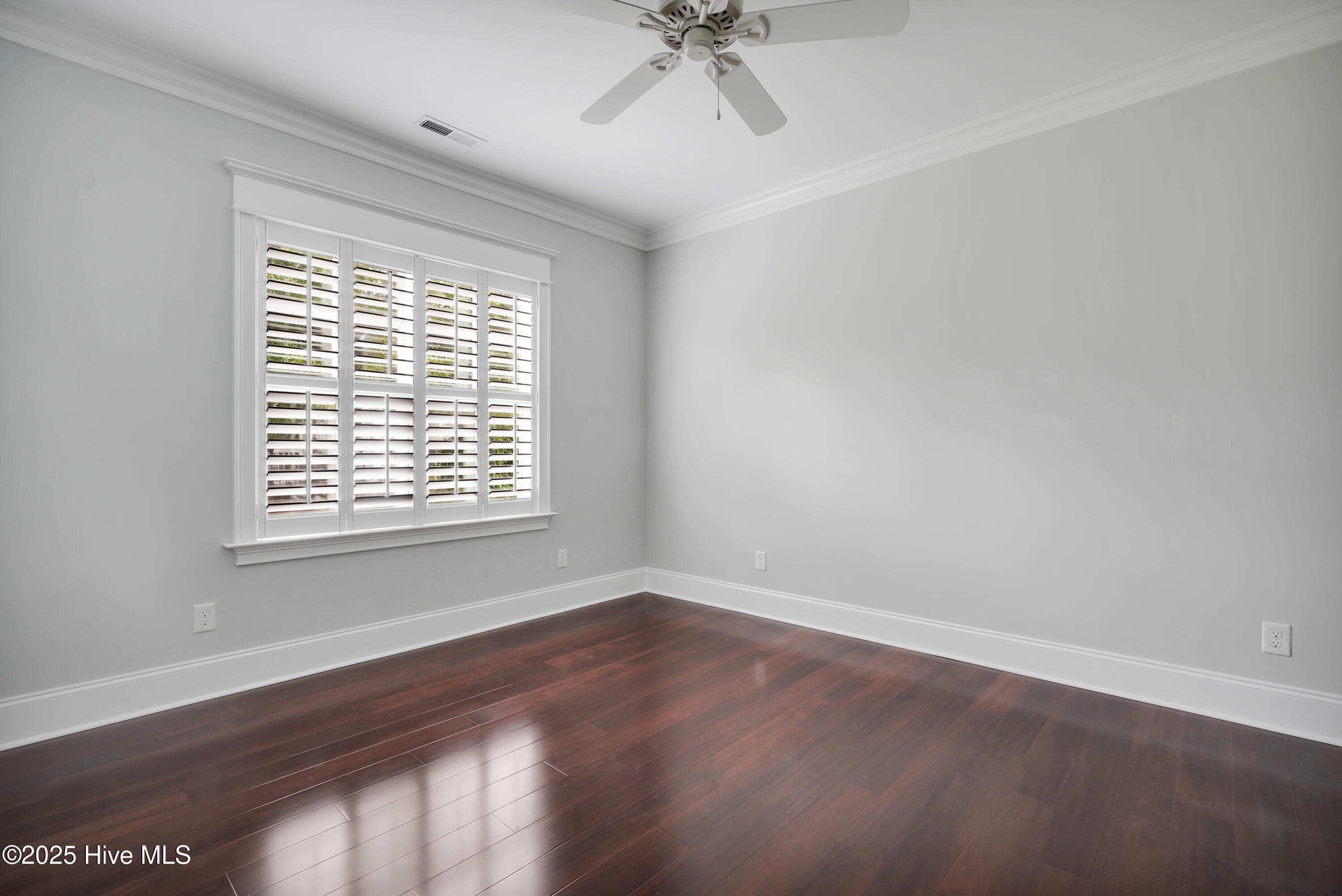 100524954 | Photo 20