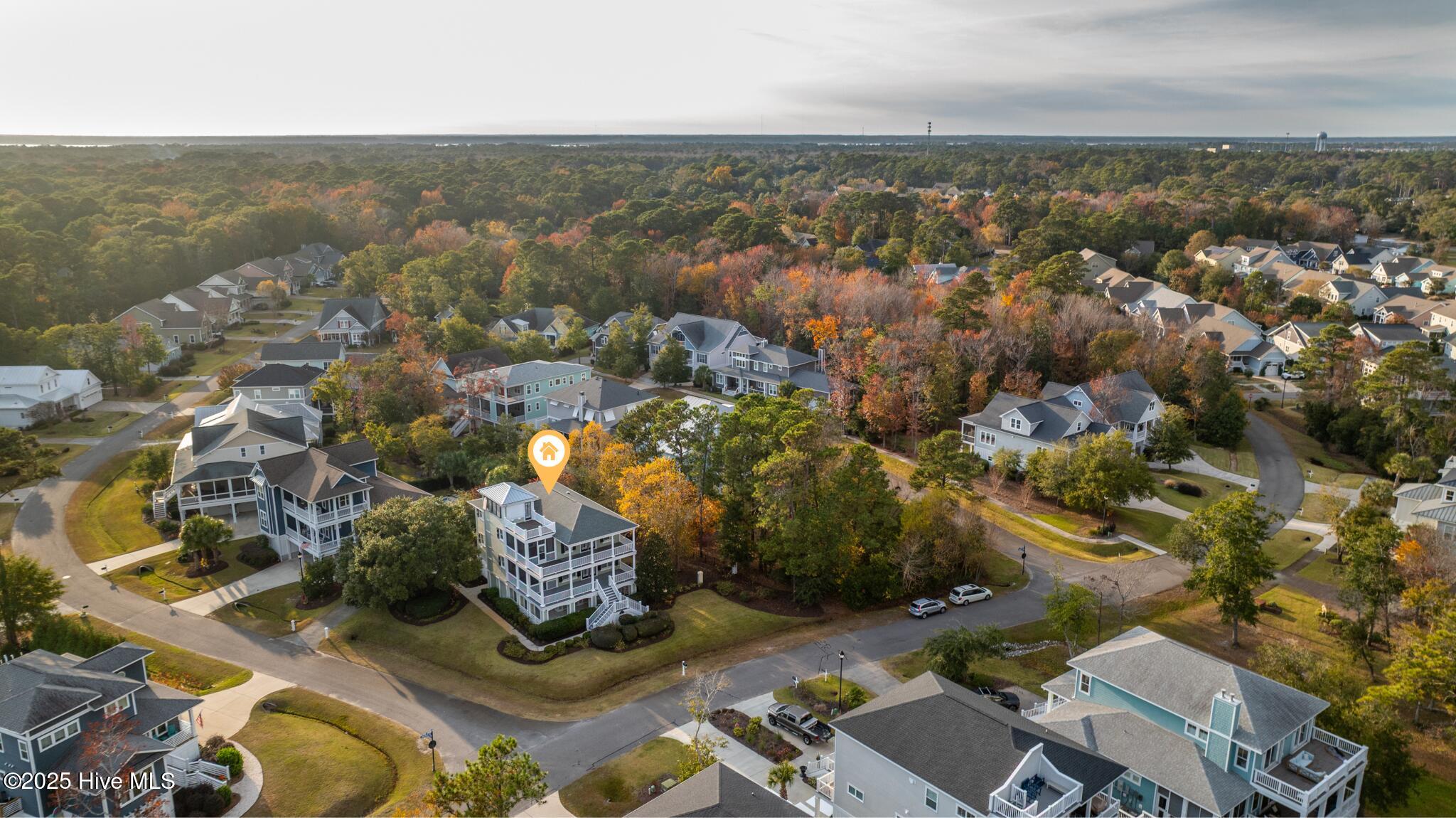 100544642 | Photo 61