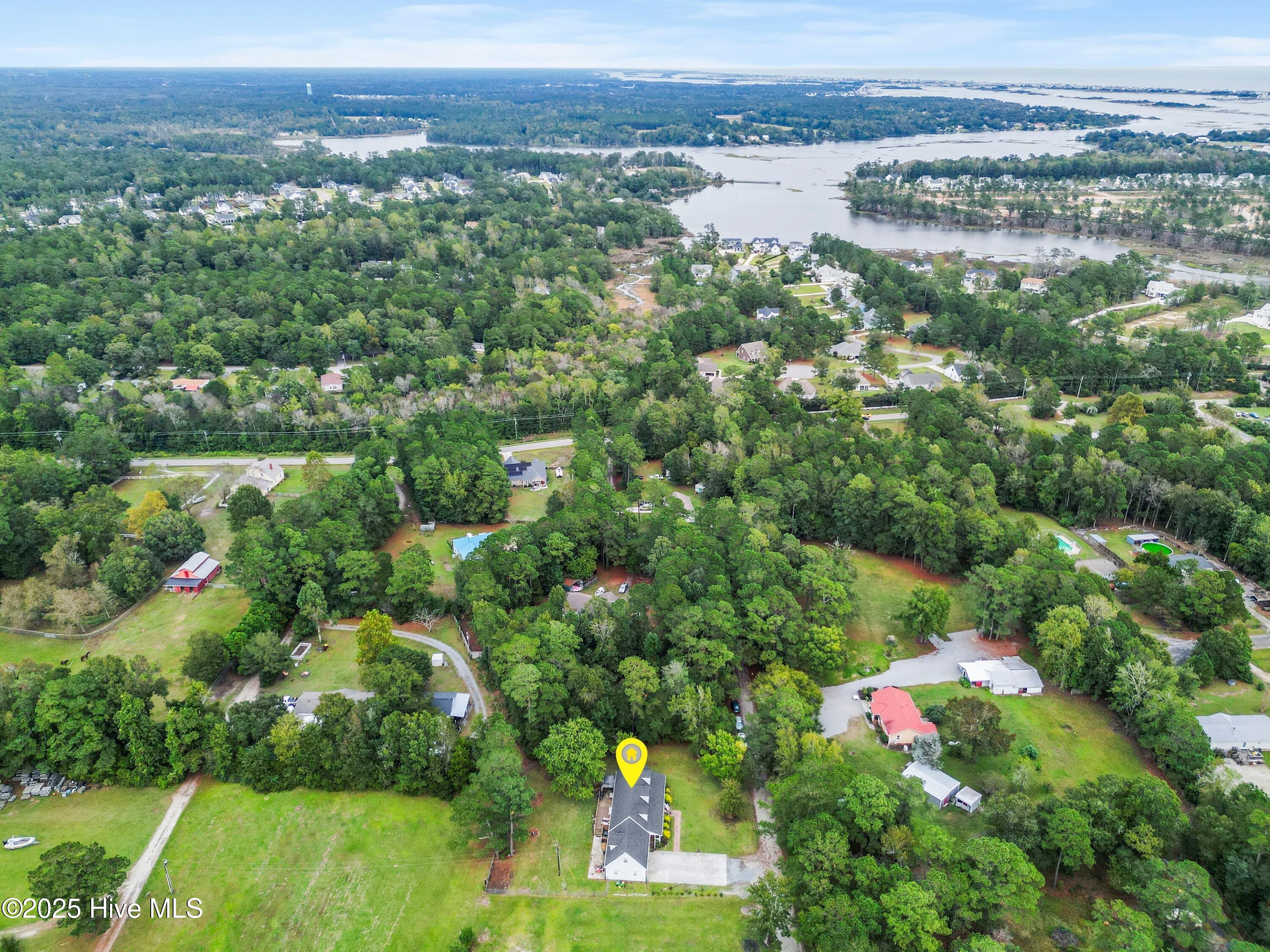 100535134 | Photo 55