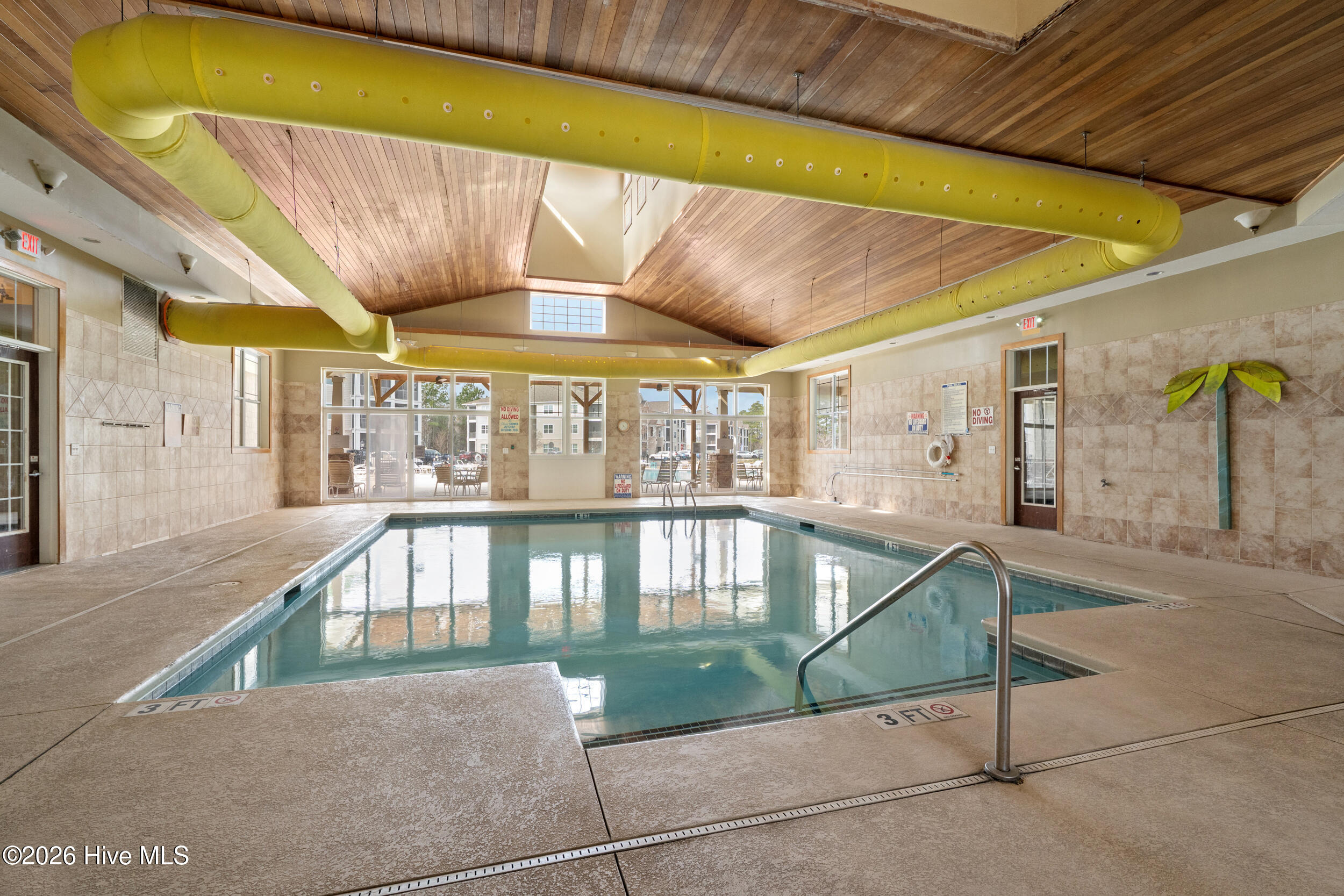 100570667 | Photo 40