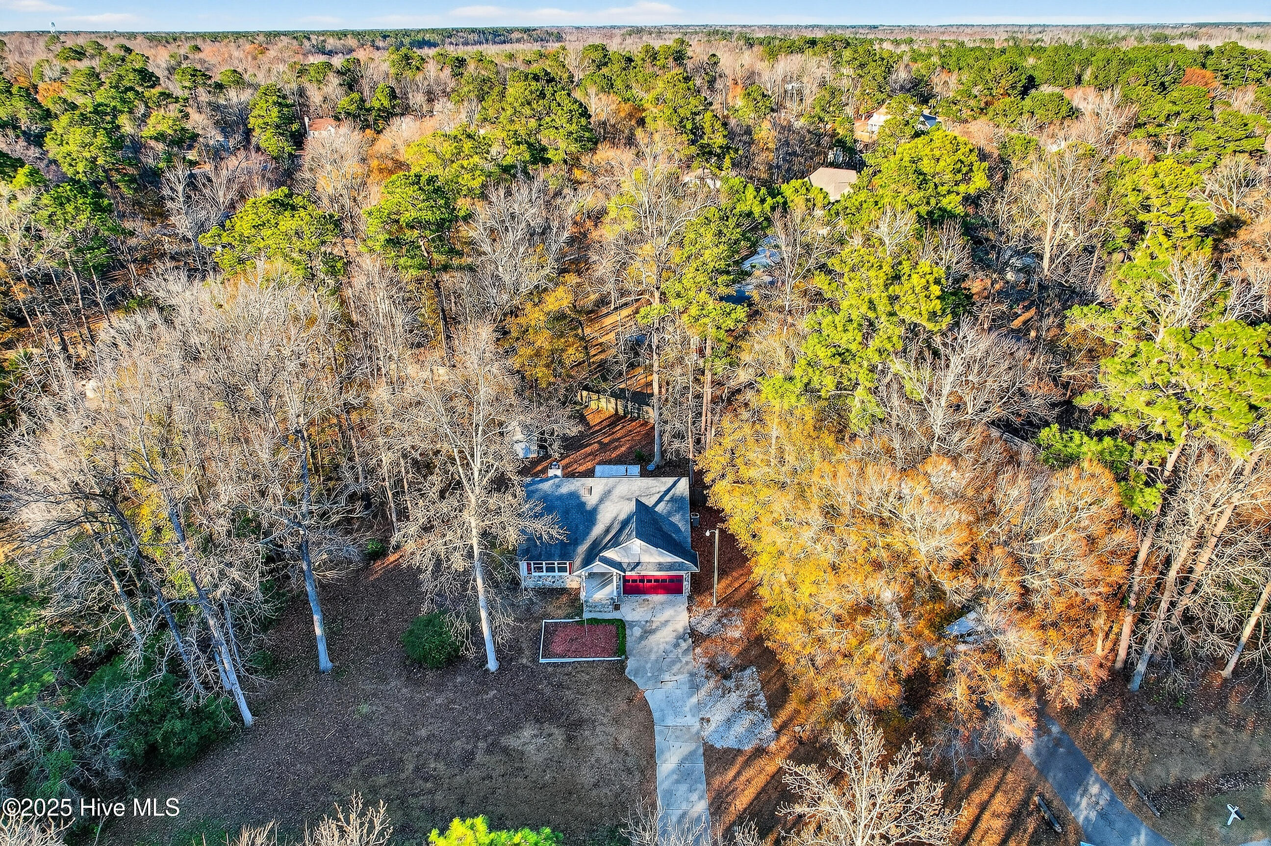 100546283 | Photo 31