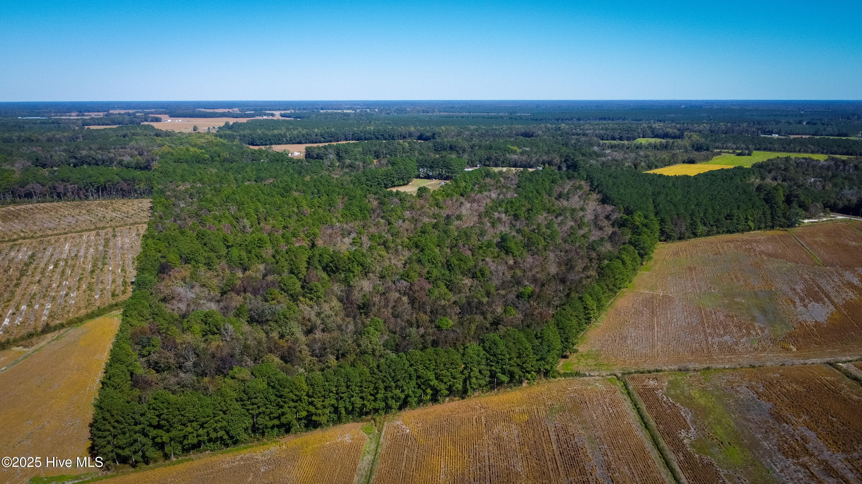 Homes for sale in Kinston, NC | 335 Guinea Town Rd, Kinston, NC 28501 | MLS# 100538081