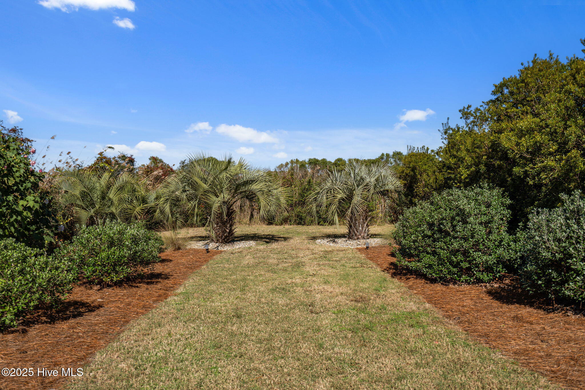 100543391 | Photo 58