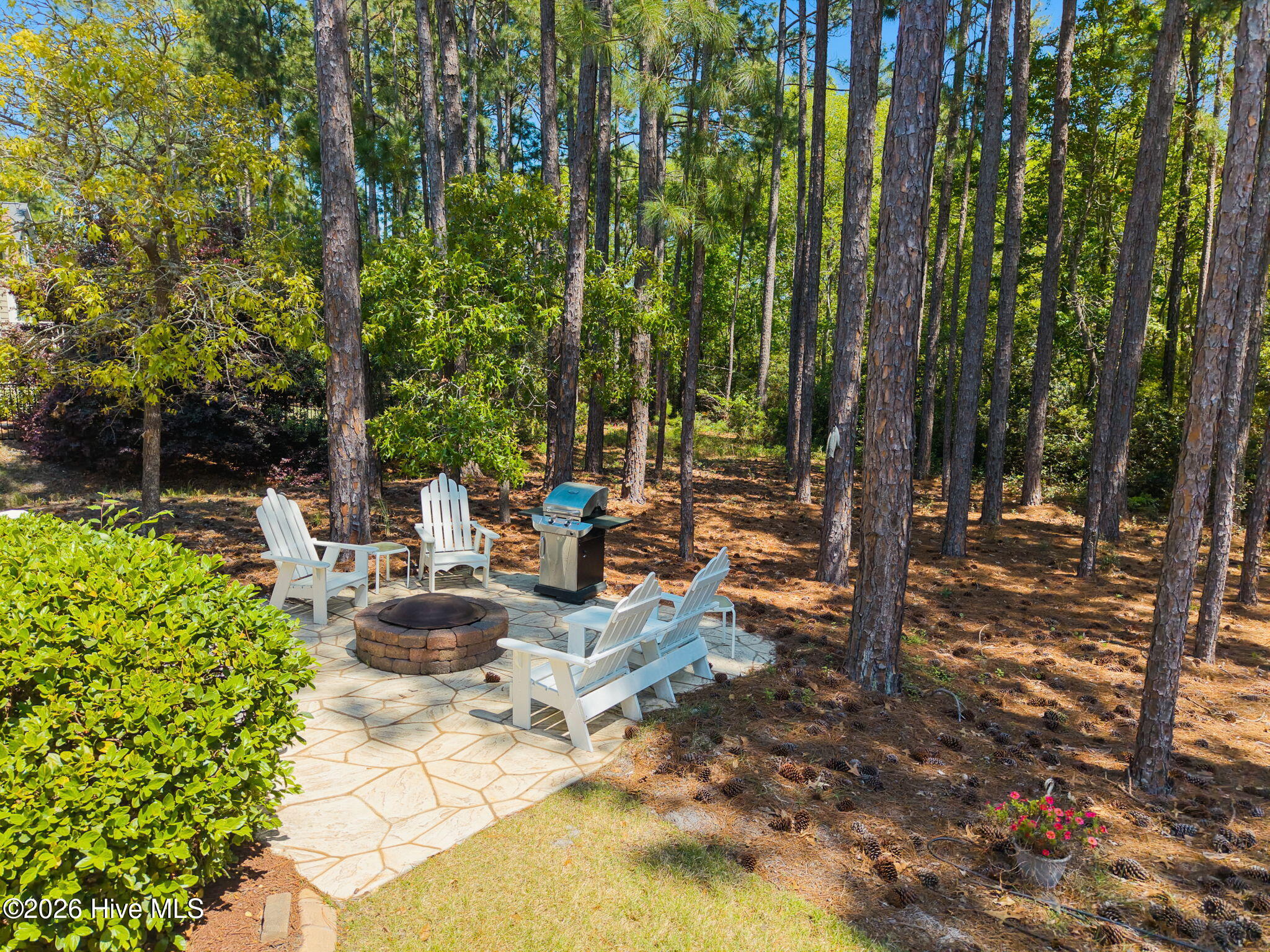 100567899 | Photo 22