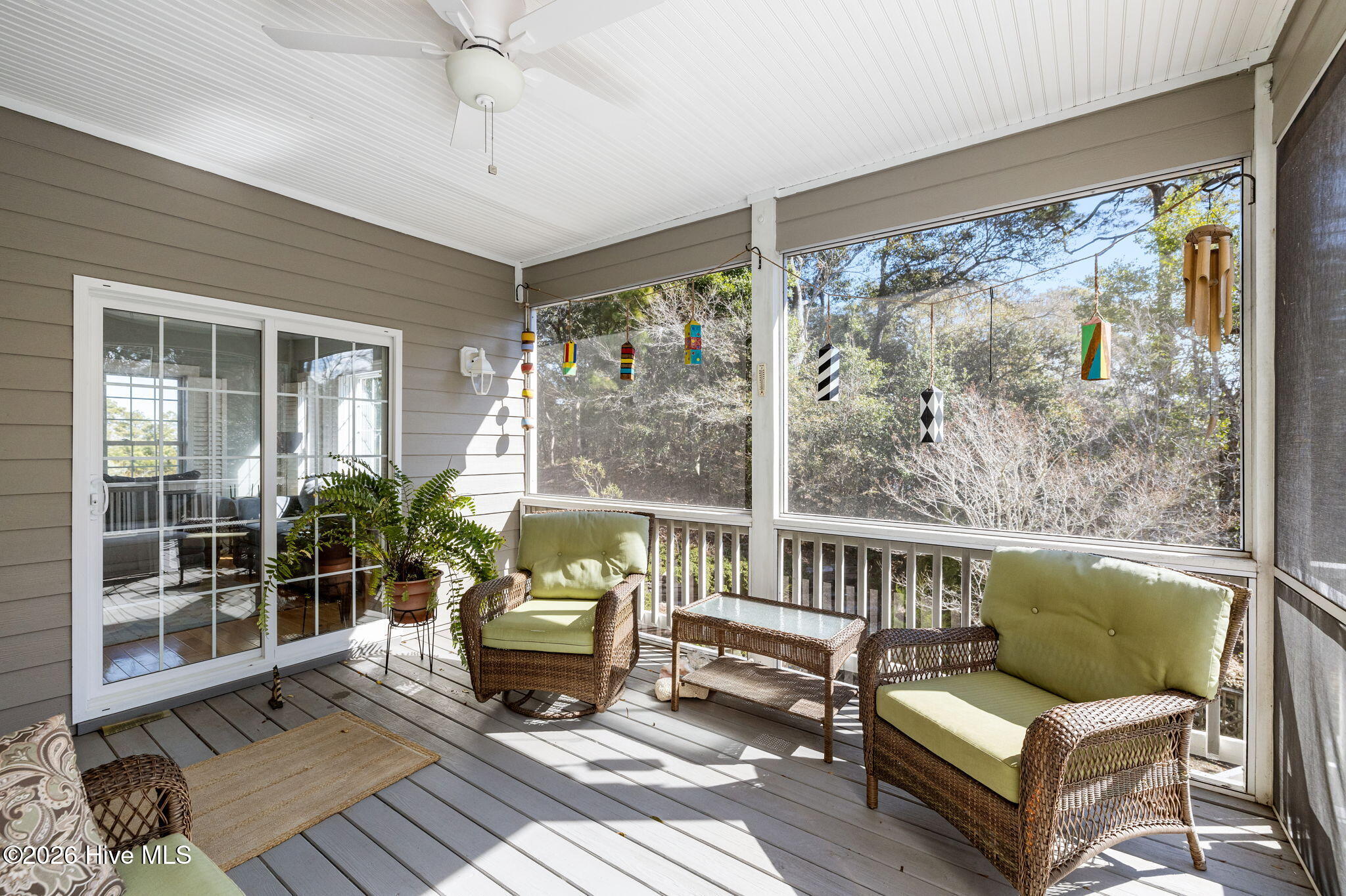 100556674 | Photo 26