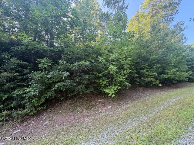 3rd image of 13 Little Choga Rd, Topton, NC 28781 | MLS# 100595519