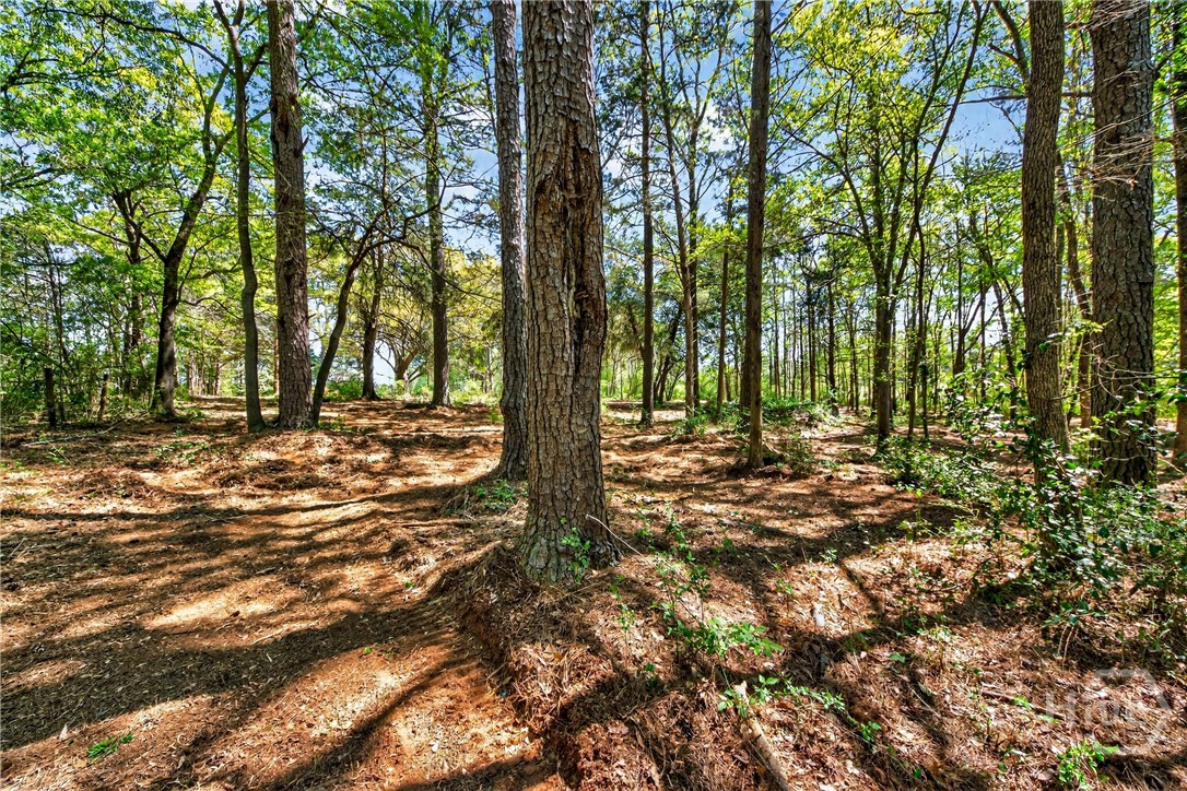 2330 Greensboro Highway, Watkinsville, GA, 30677