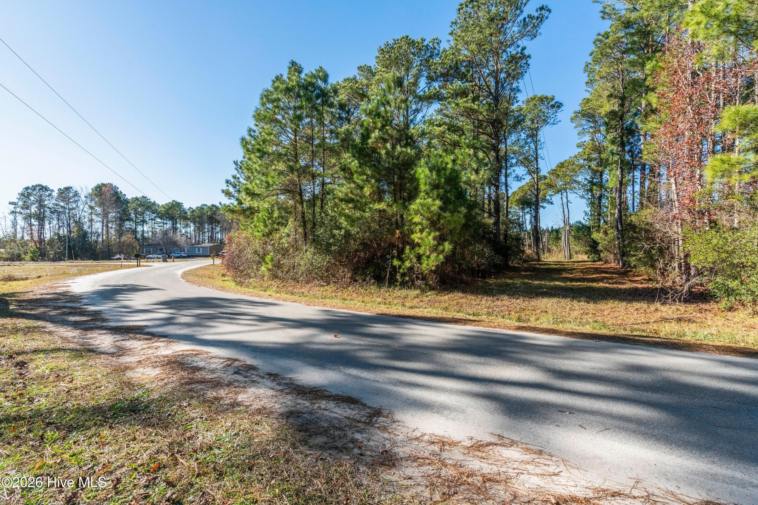 100549916 | Photo 10