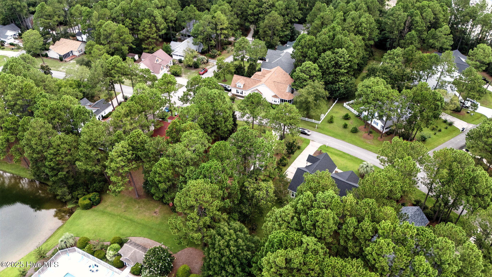 100523616 | Photo 43