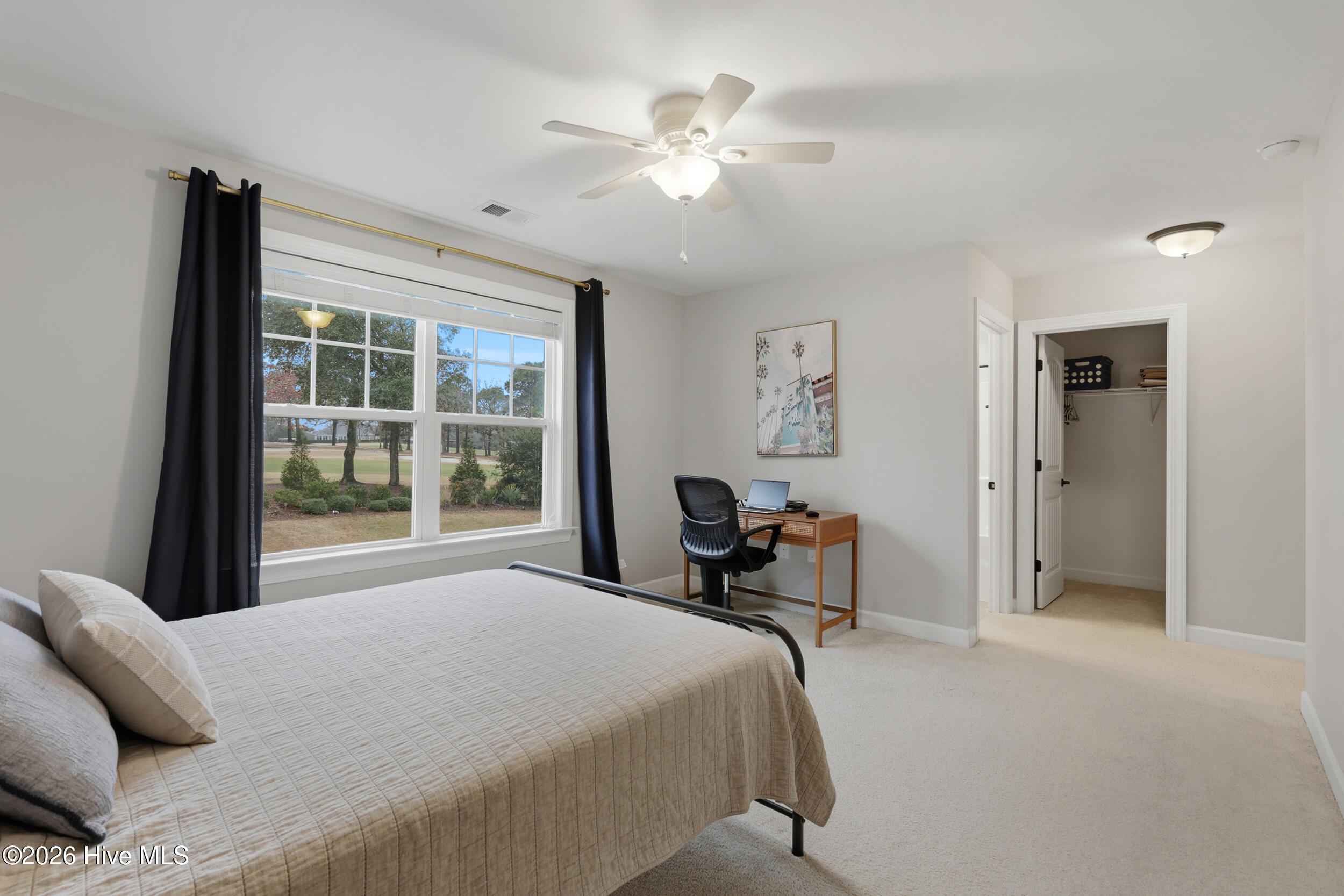 100553163 | Photo 31