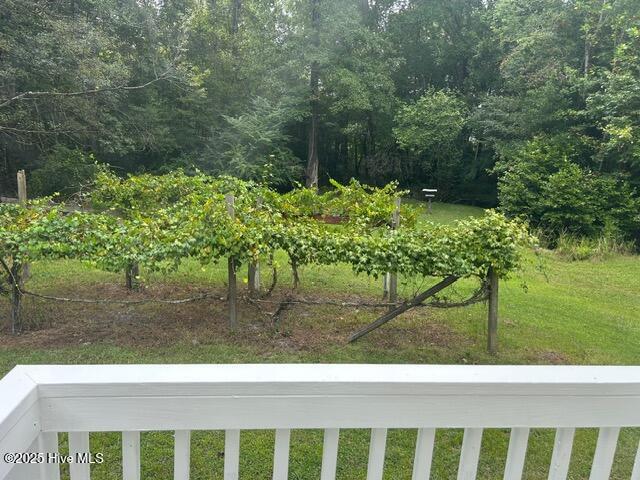 100530251 | Photo 24