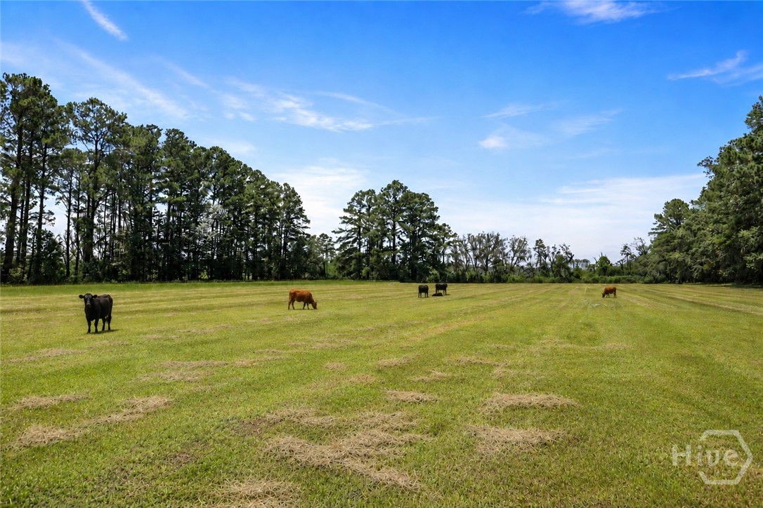 Cows virtually added