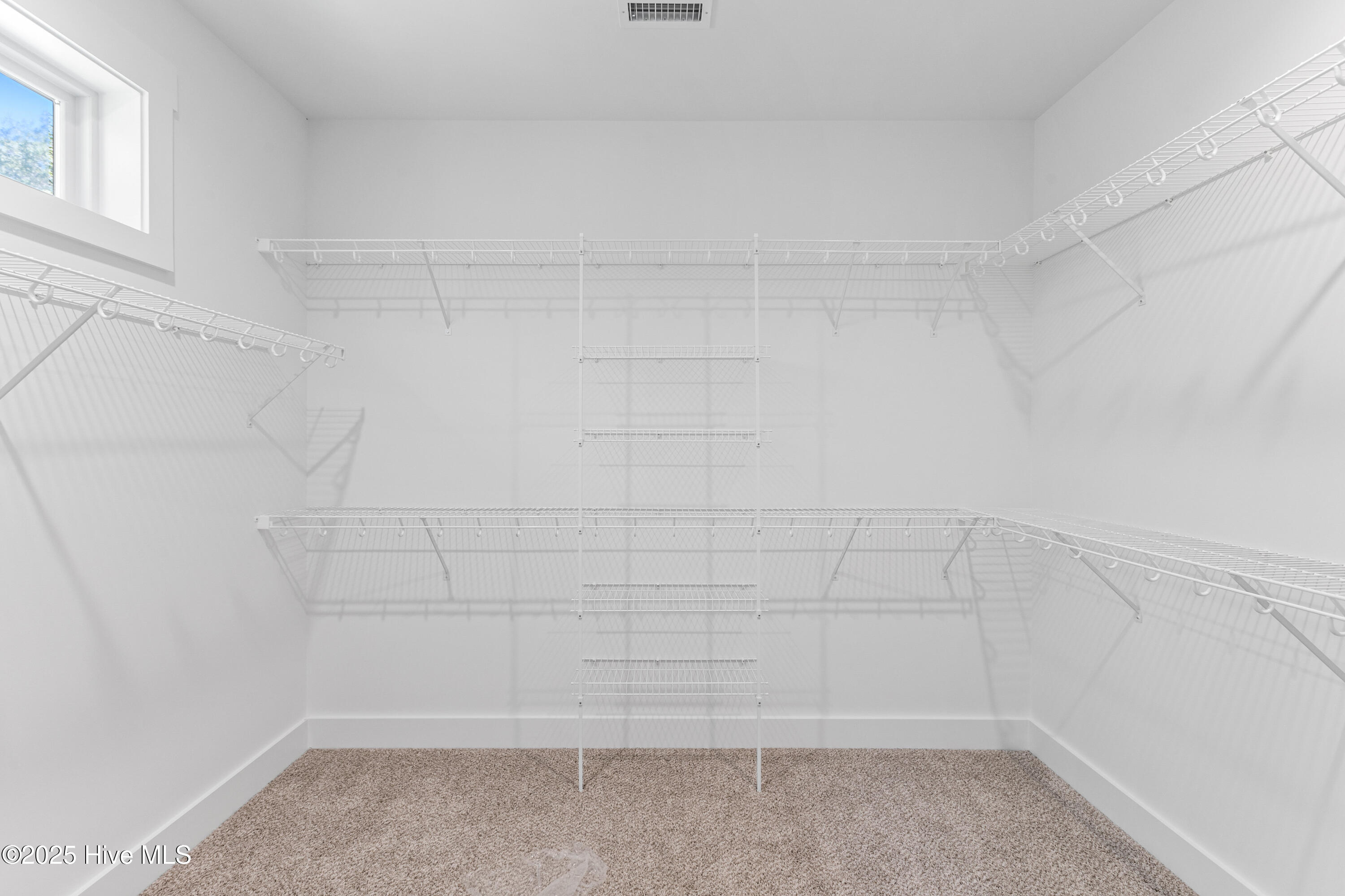 100535066 | Photo 25