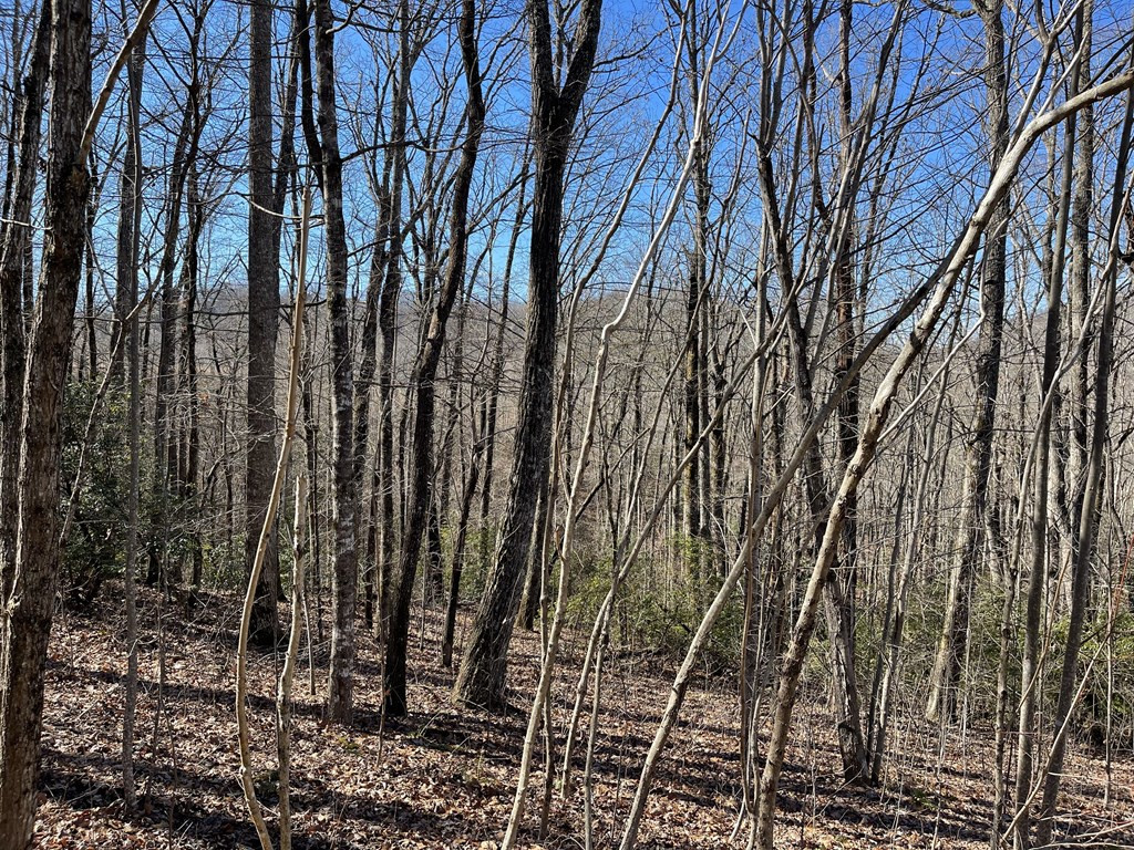 Exterior photo of Lot #53M Ridges, Hayesville, NC 28904. MLS: 98539680