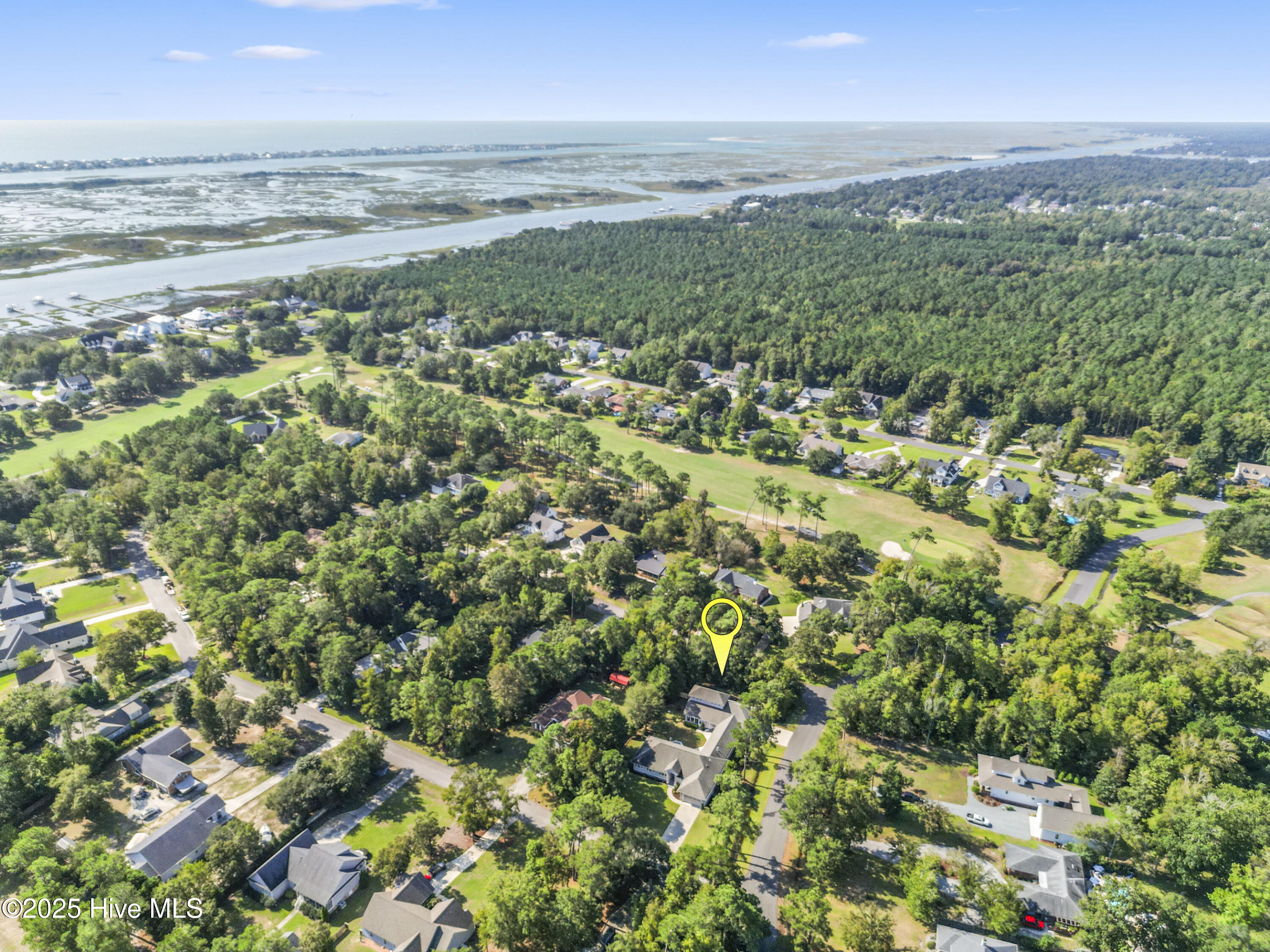 100503346 | Photo 109