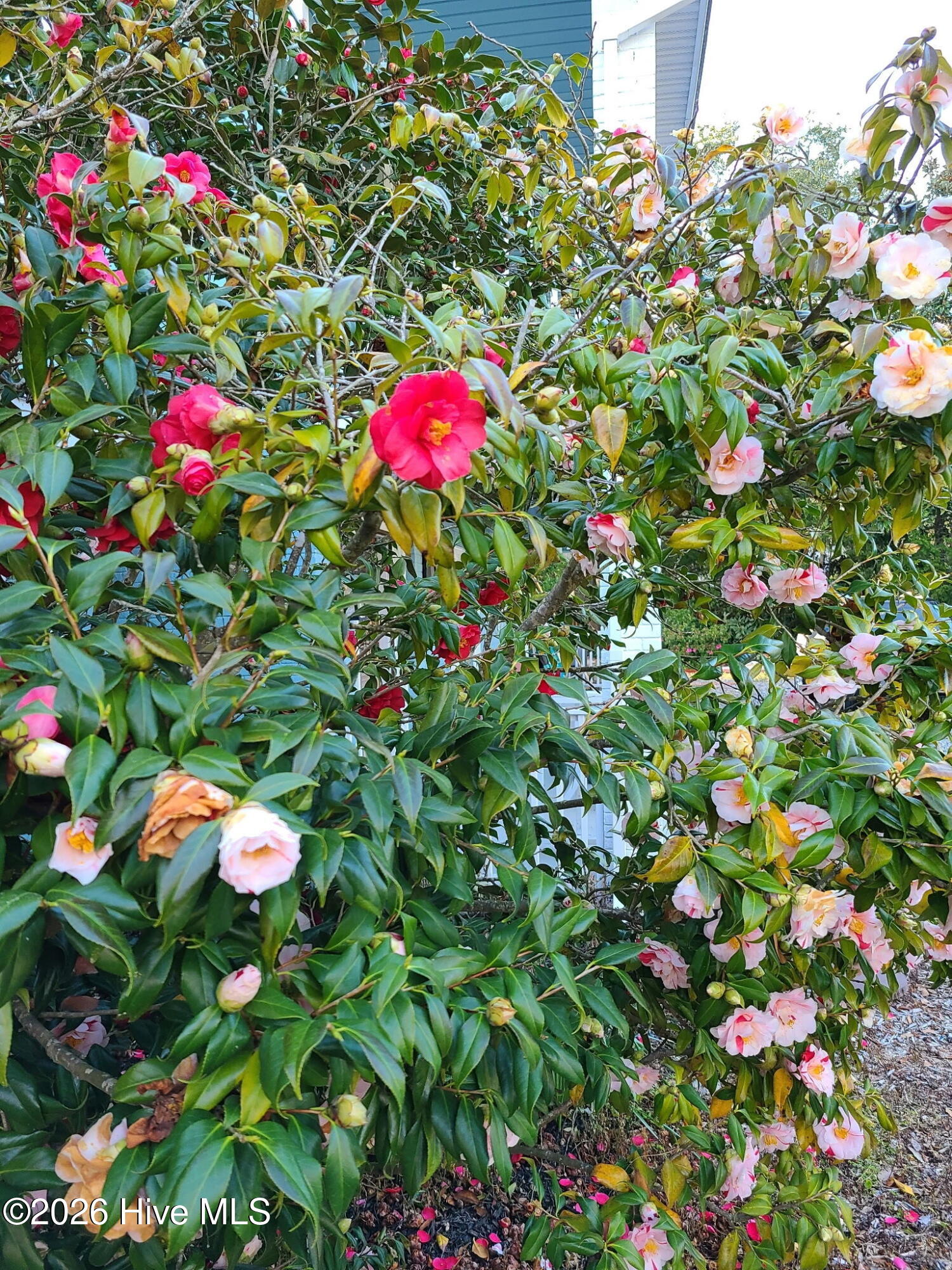 100549205 | Photo 68