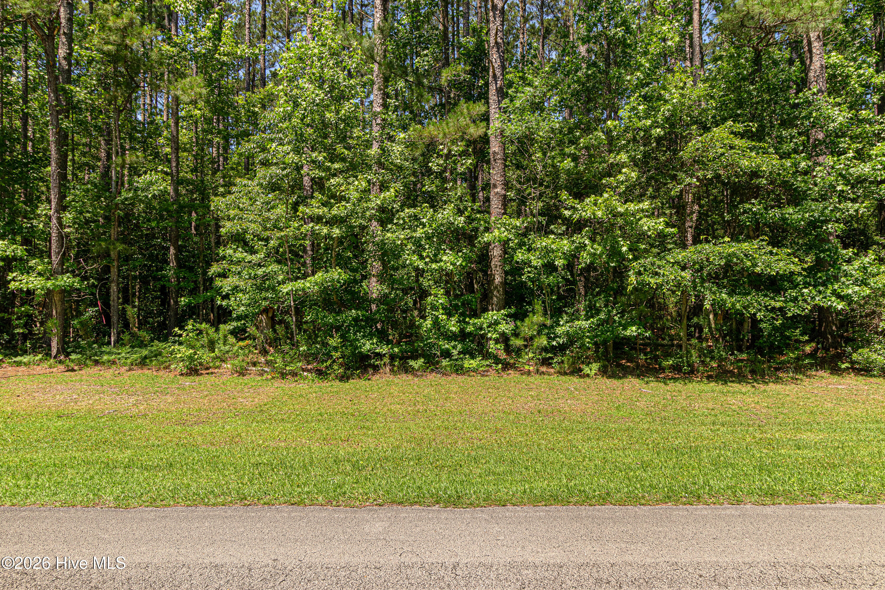 313 Antebellum Drive,Havelock