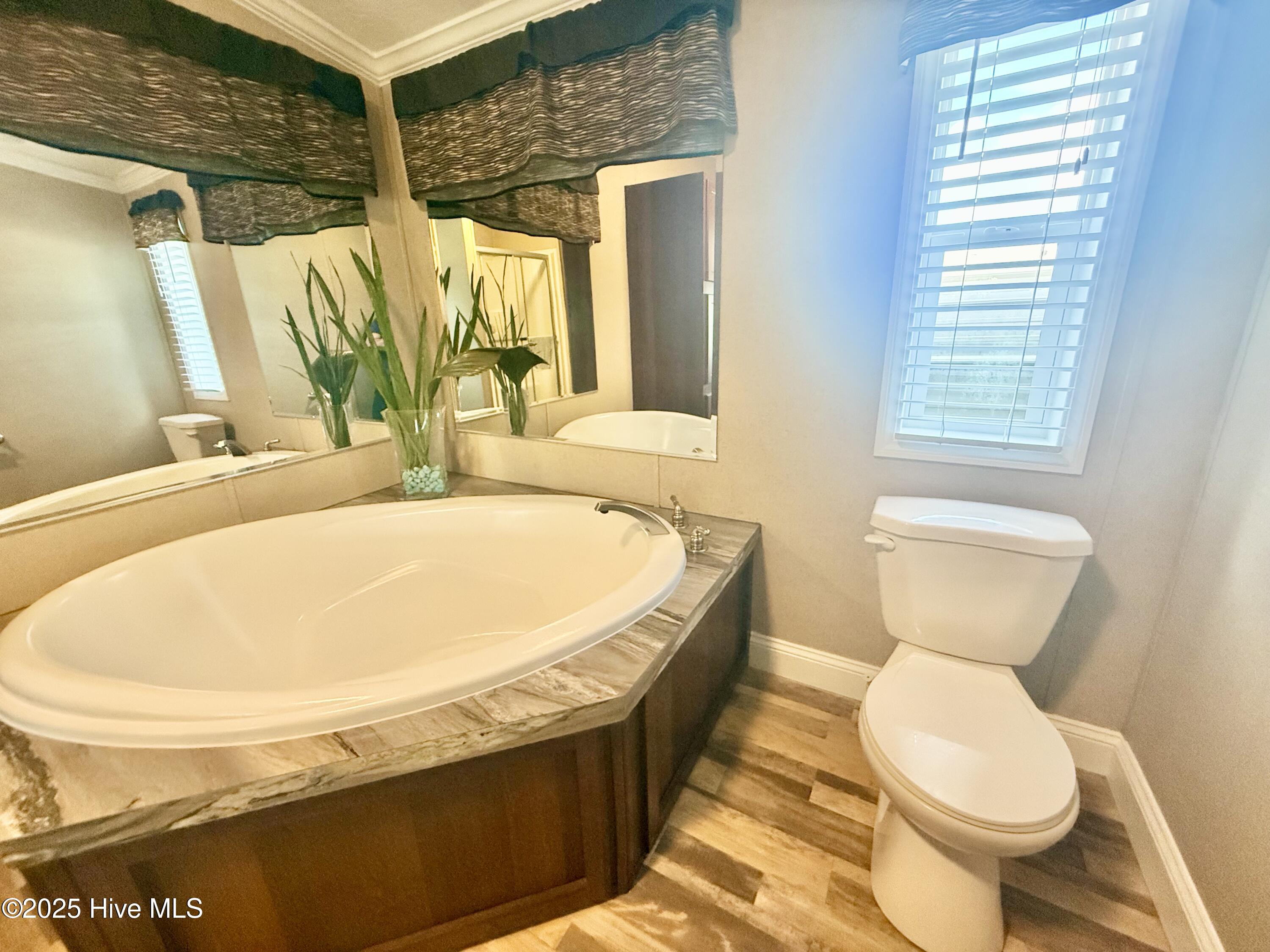 100530784 | Photo 12