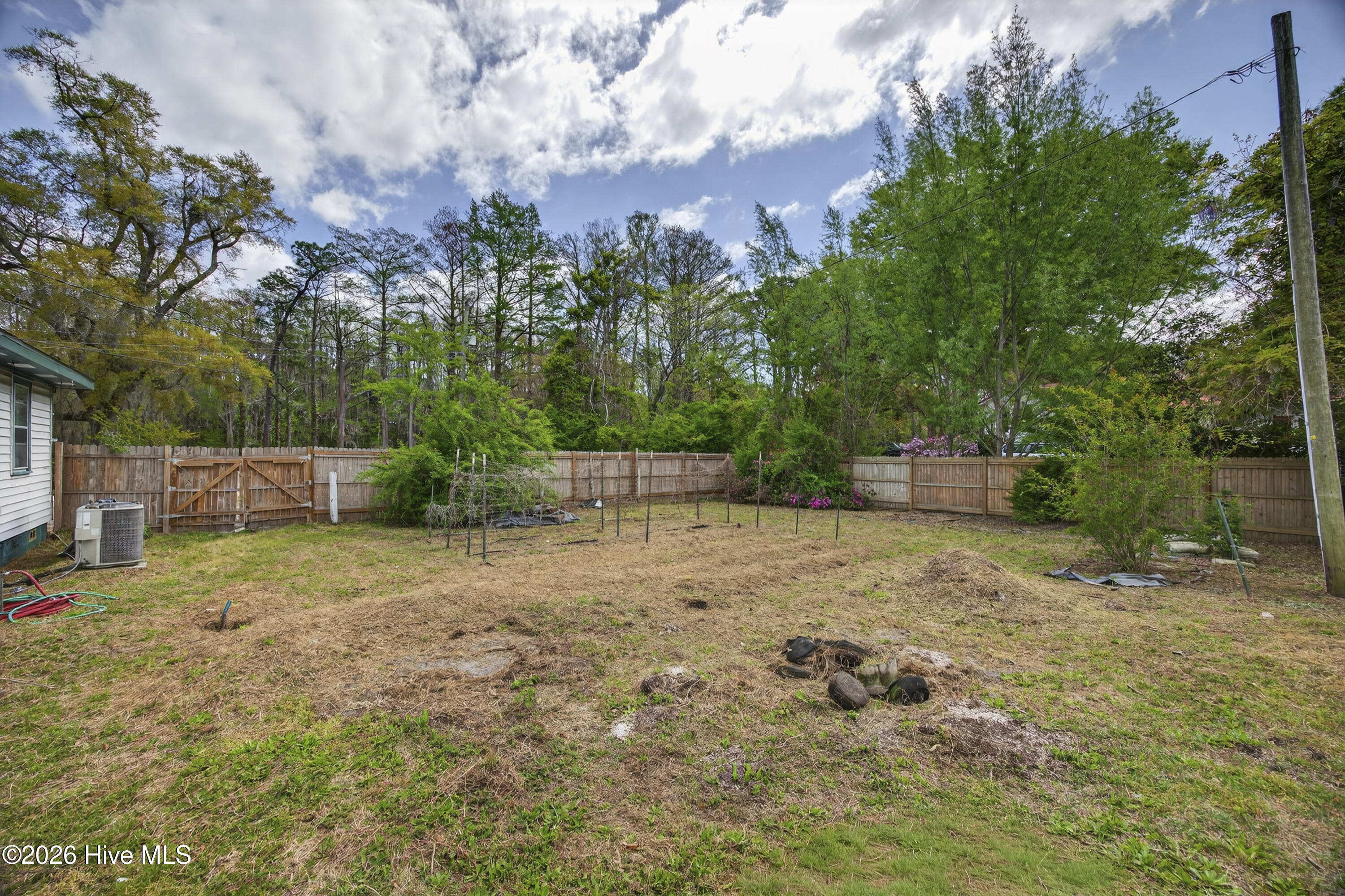 100564526 | Photo 43