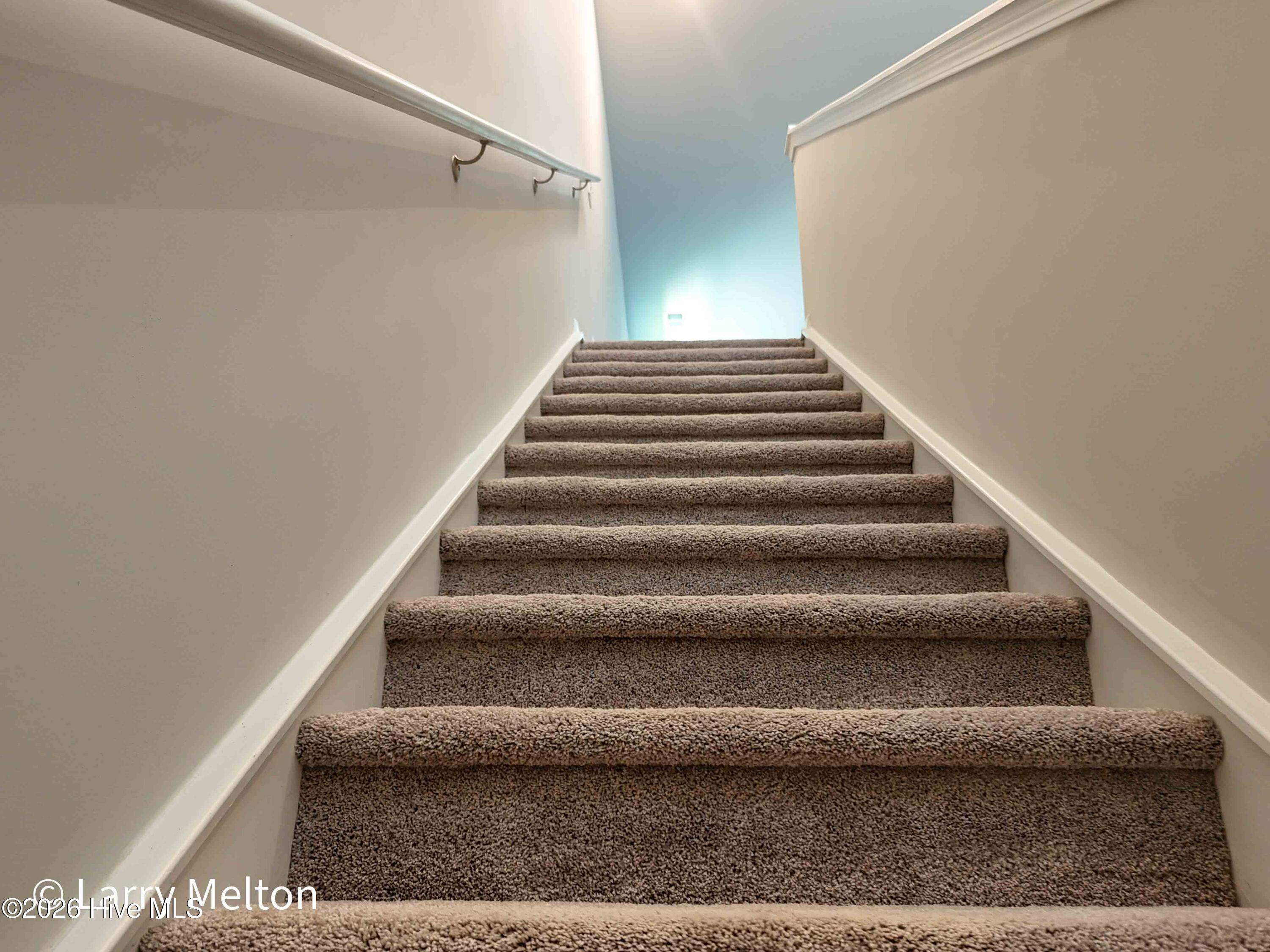 100564971 | Photo 23