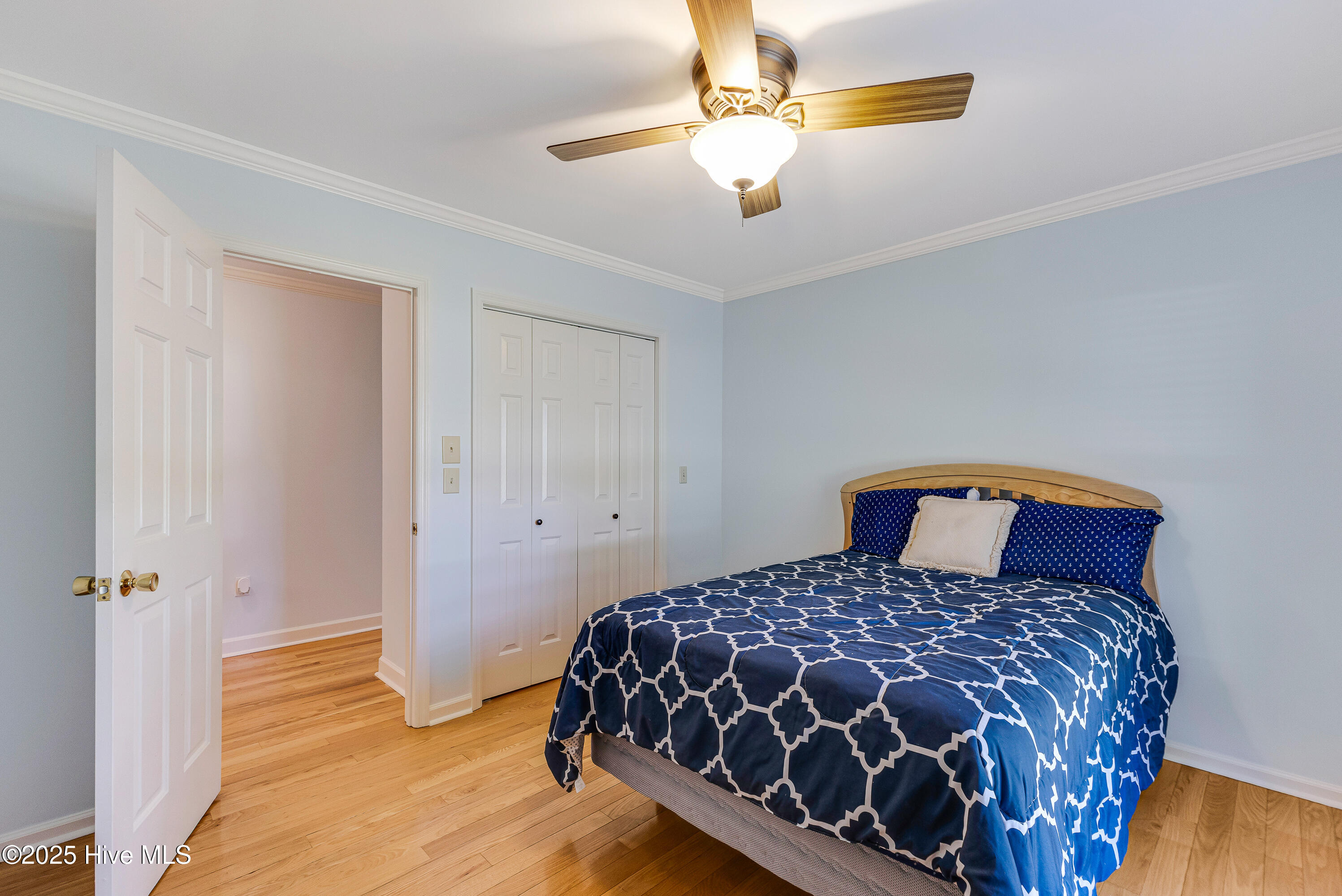 100538127 | Photo 24