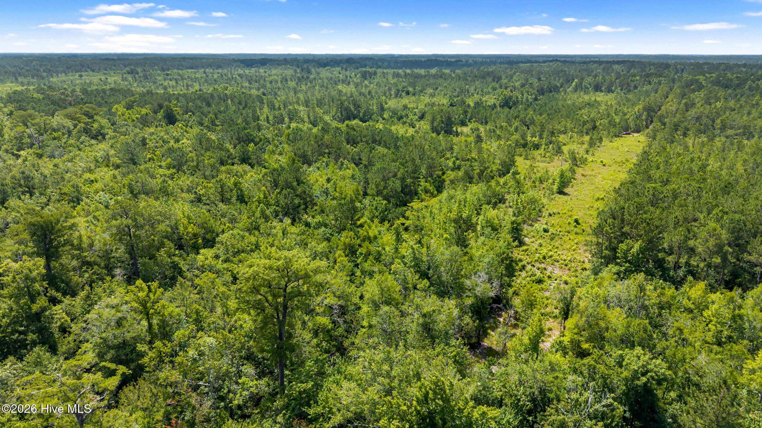 100584611 | Photo 4