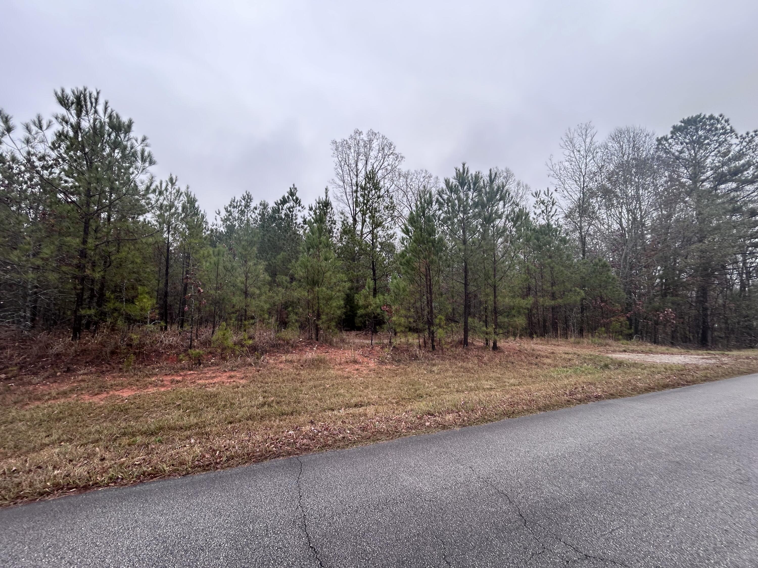 1956 Pineywoods Road, Lincolnton, GA, 30817