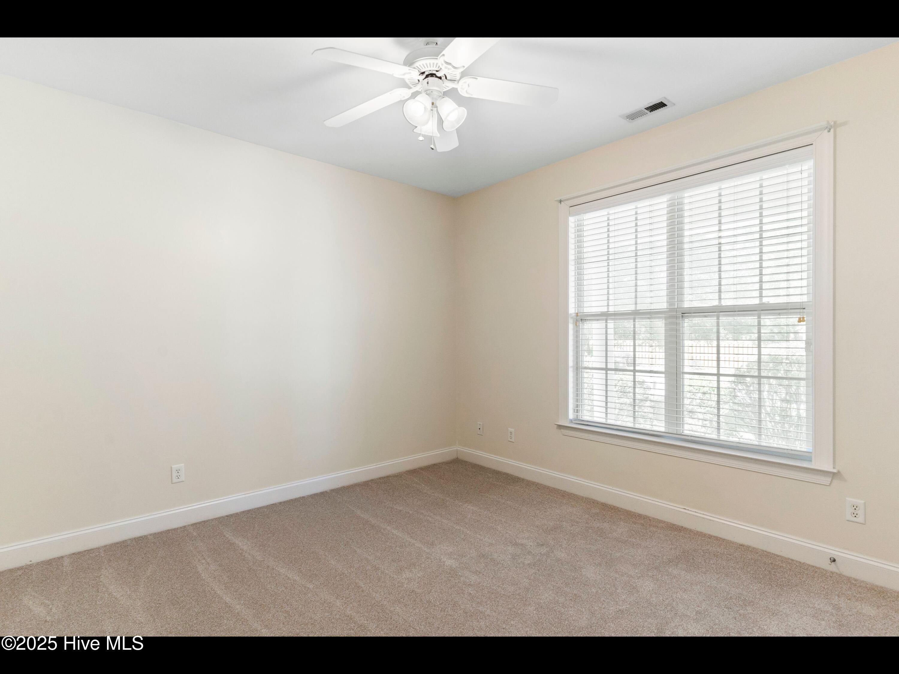 100509551 | Photo 23