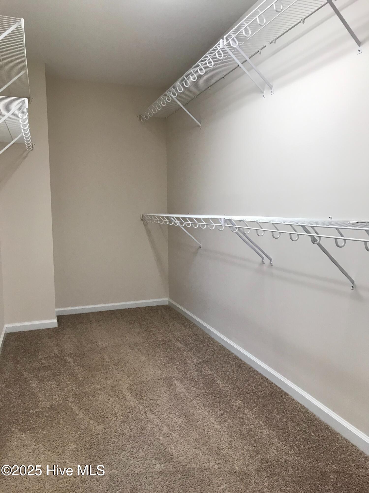 100544459 | Photo 36