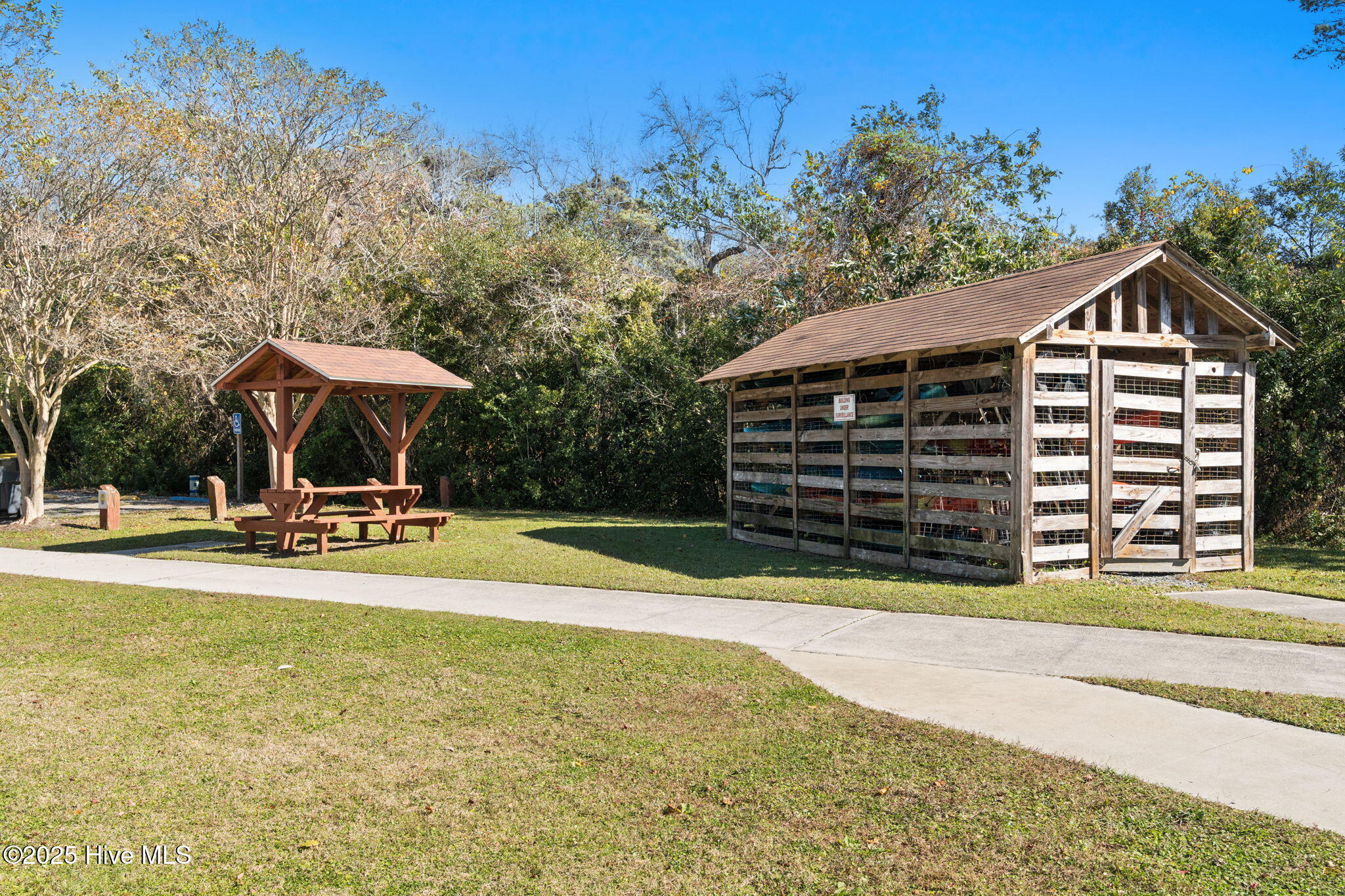 100541037 | Photo 58