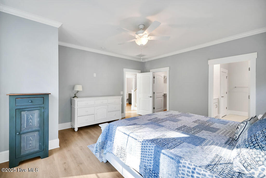 100537536 | Photo 11