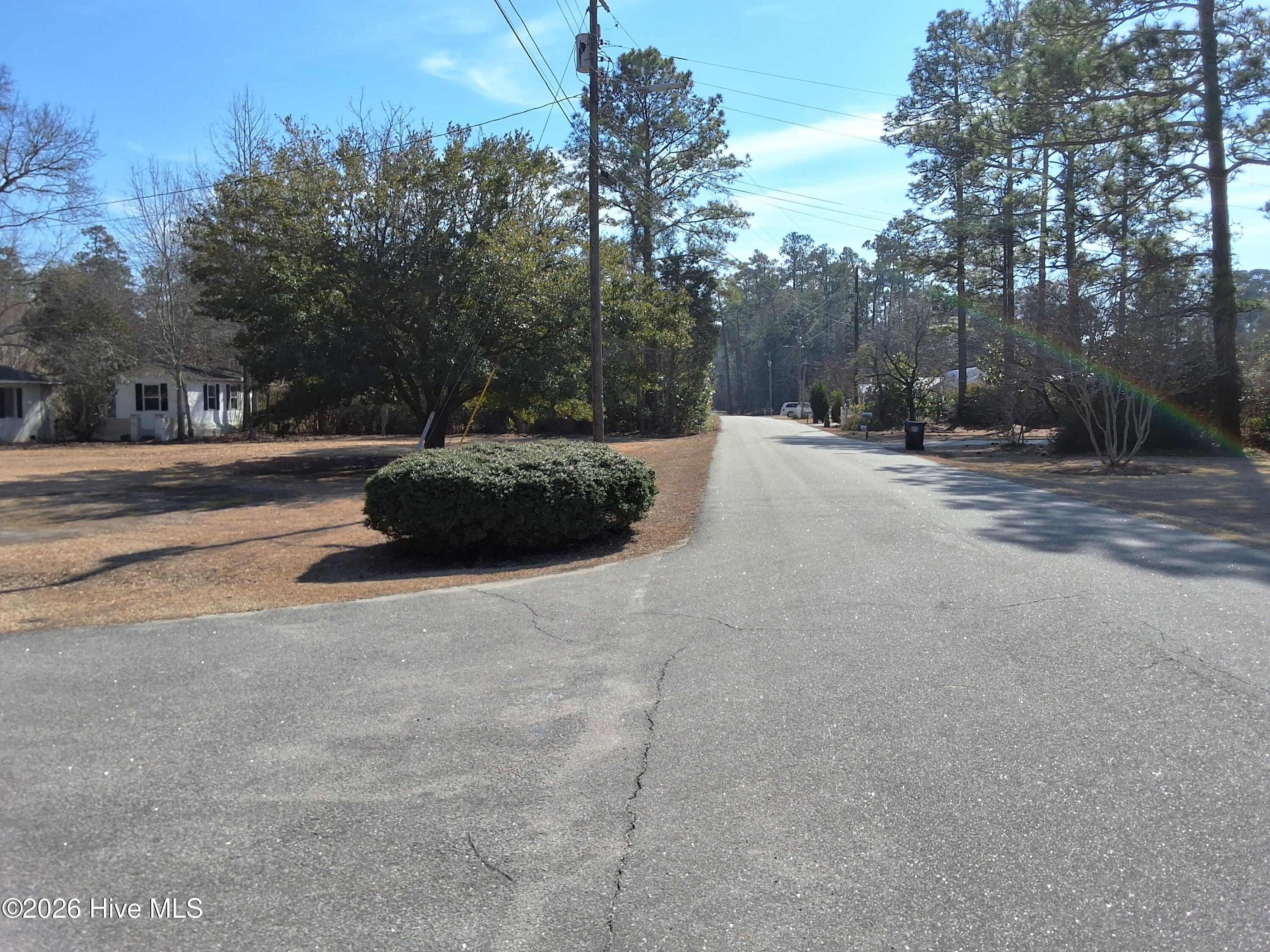 100554569 | Photo 93