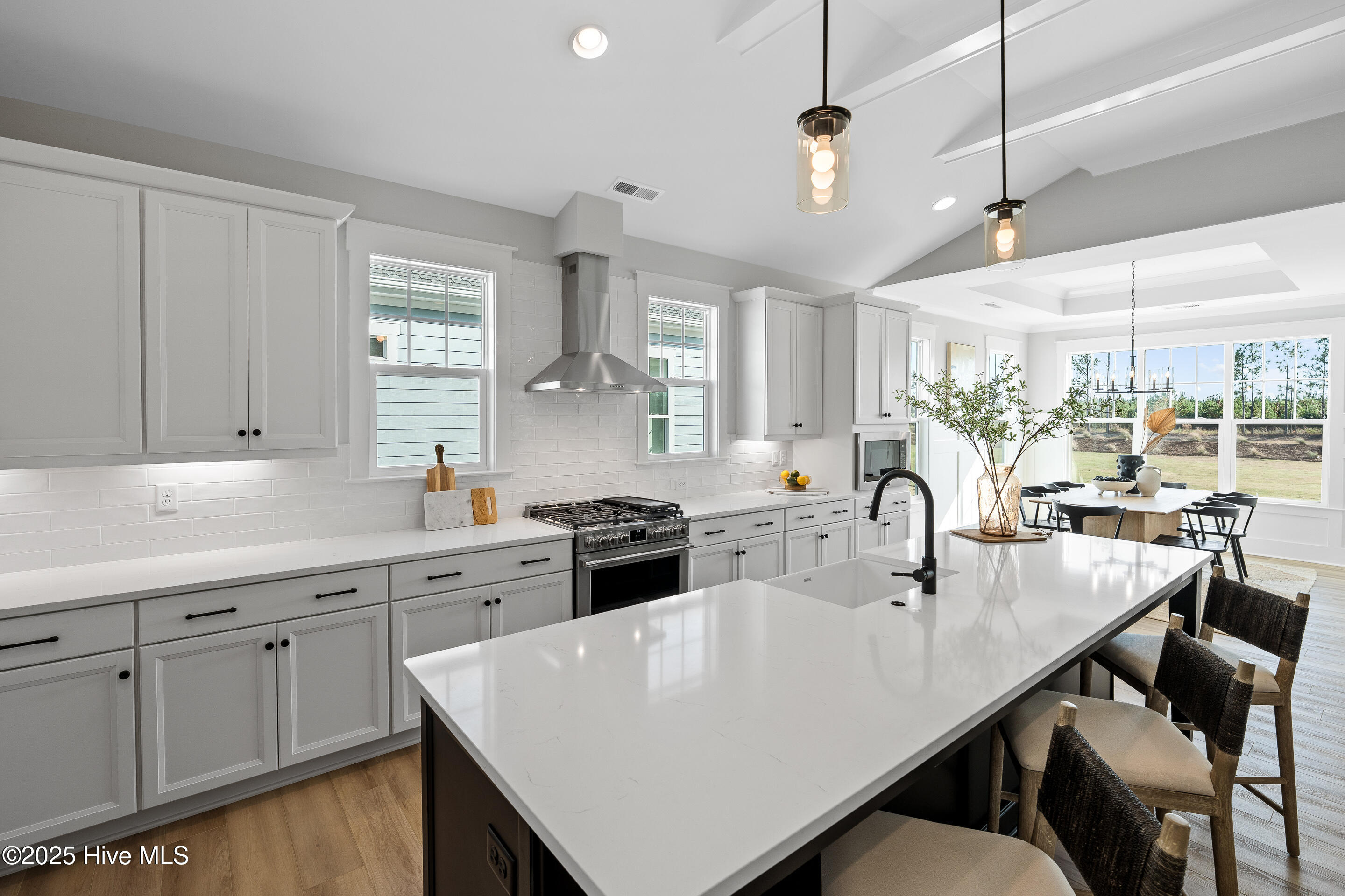 100531959 | Photo 35