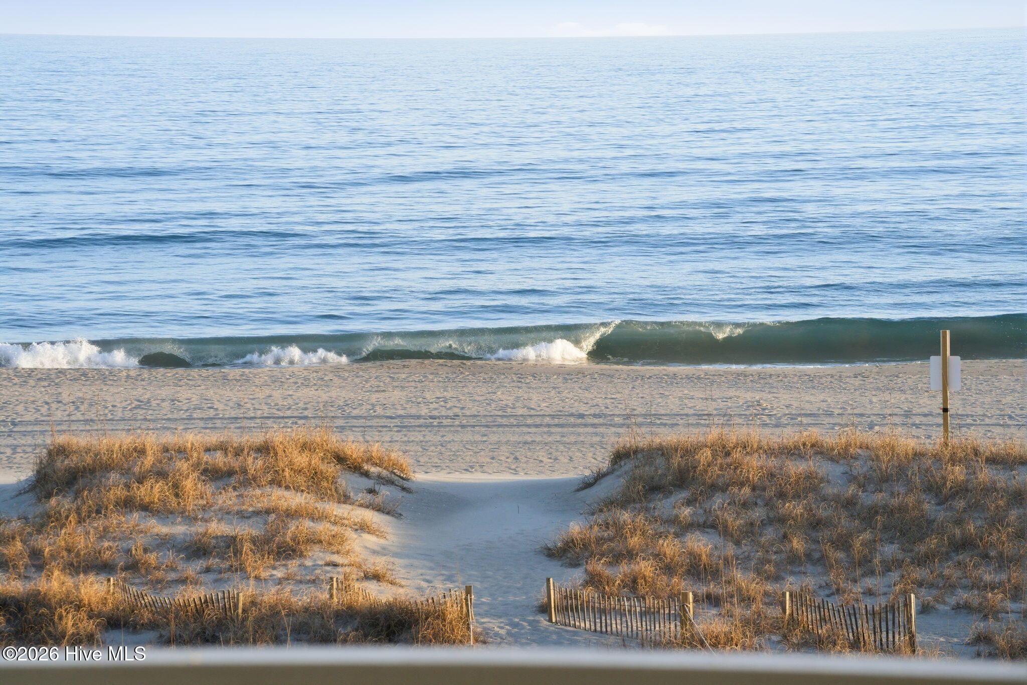 100555473 | Photo 58