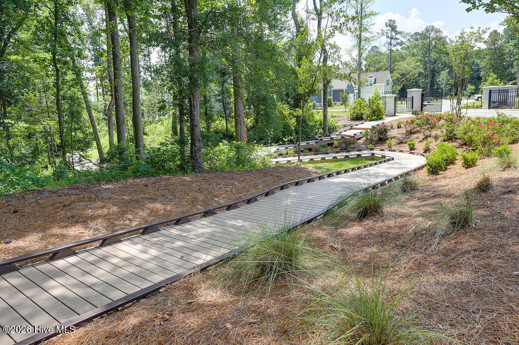 100553191 | Photo 38