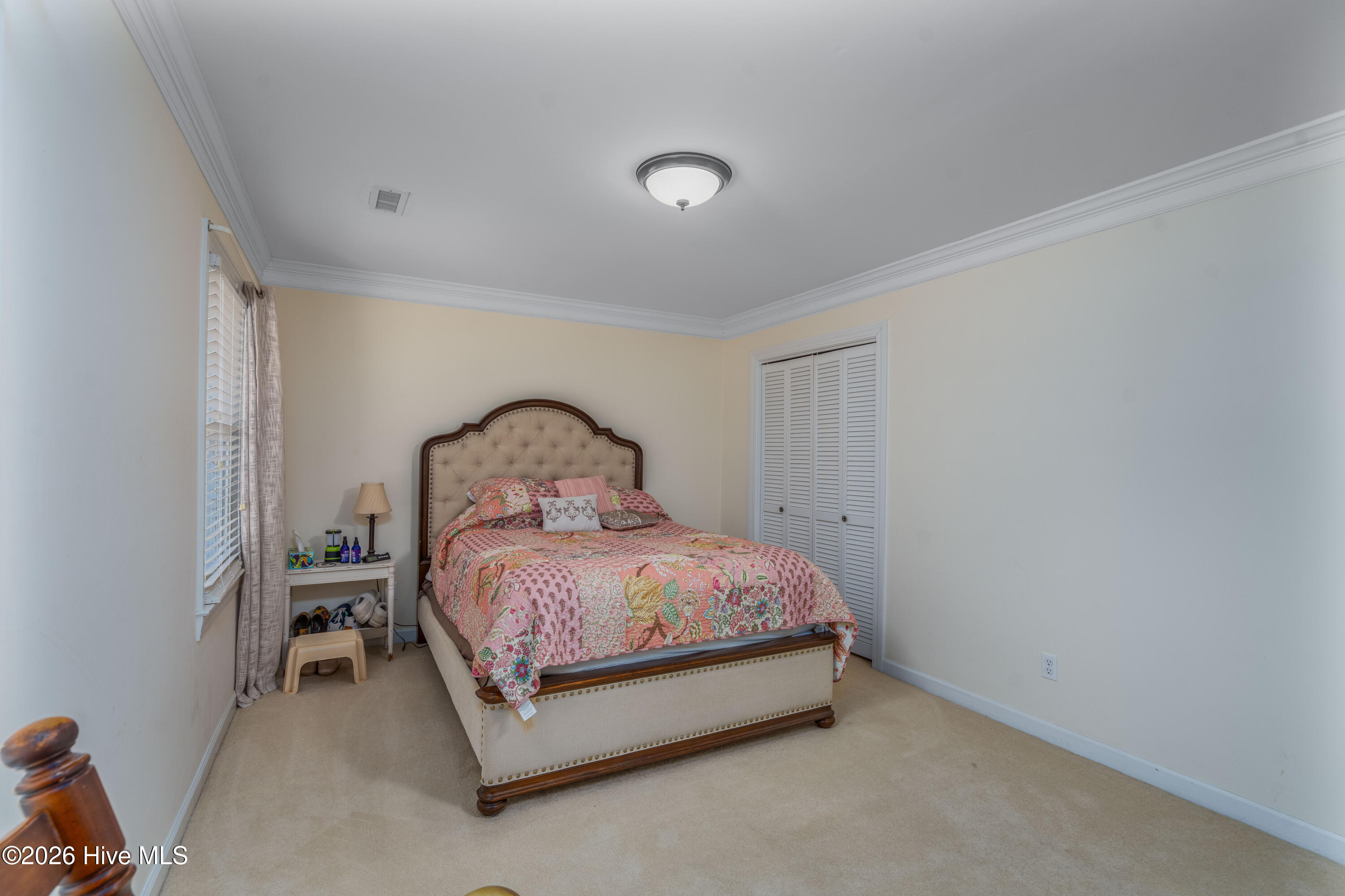 100548733 | Photo 25