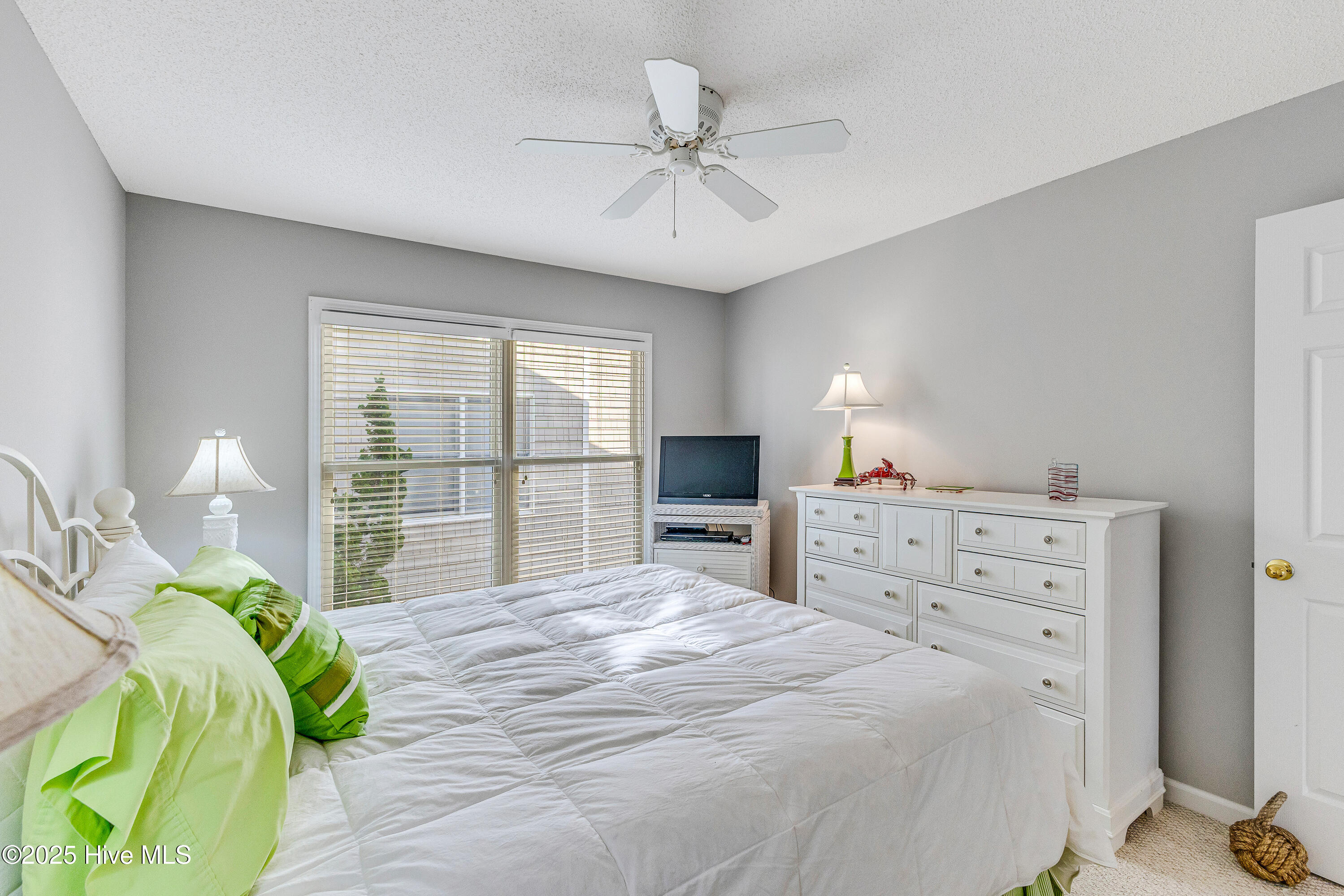 100522444 | Photo 25