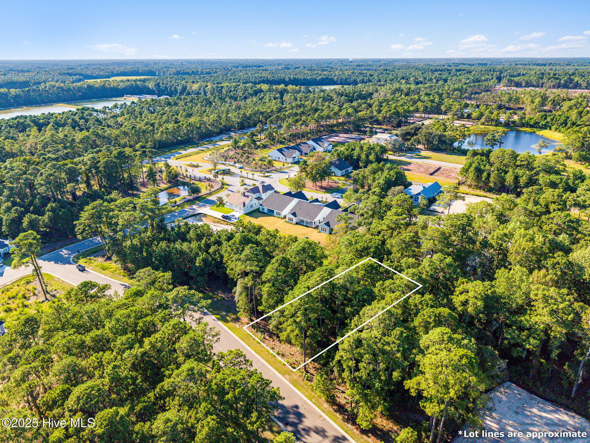 100529223 | Photo 12