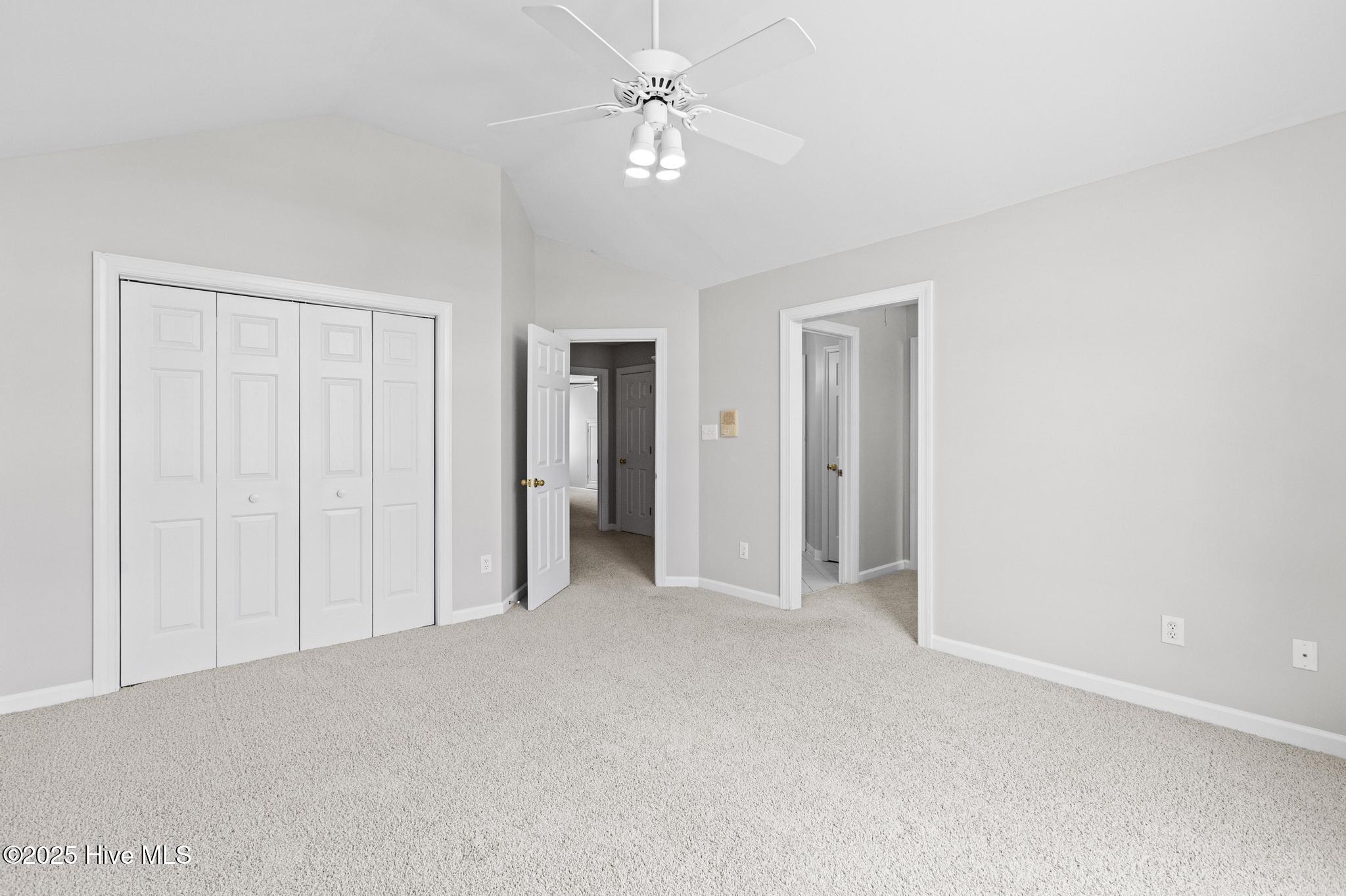 100508292 | Photo 43